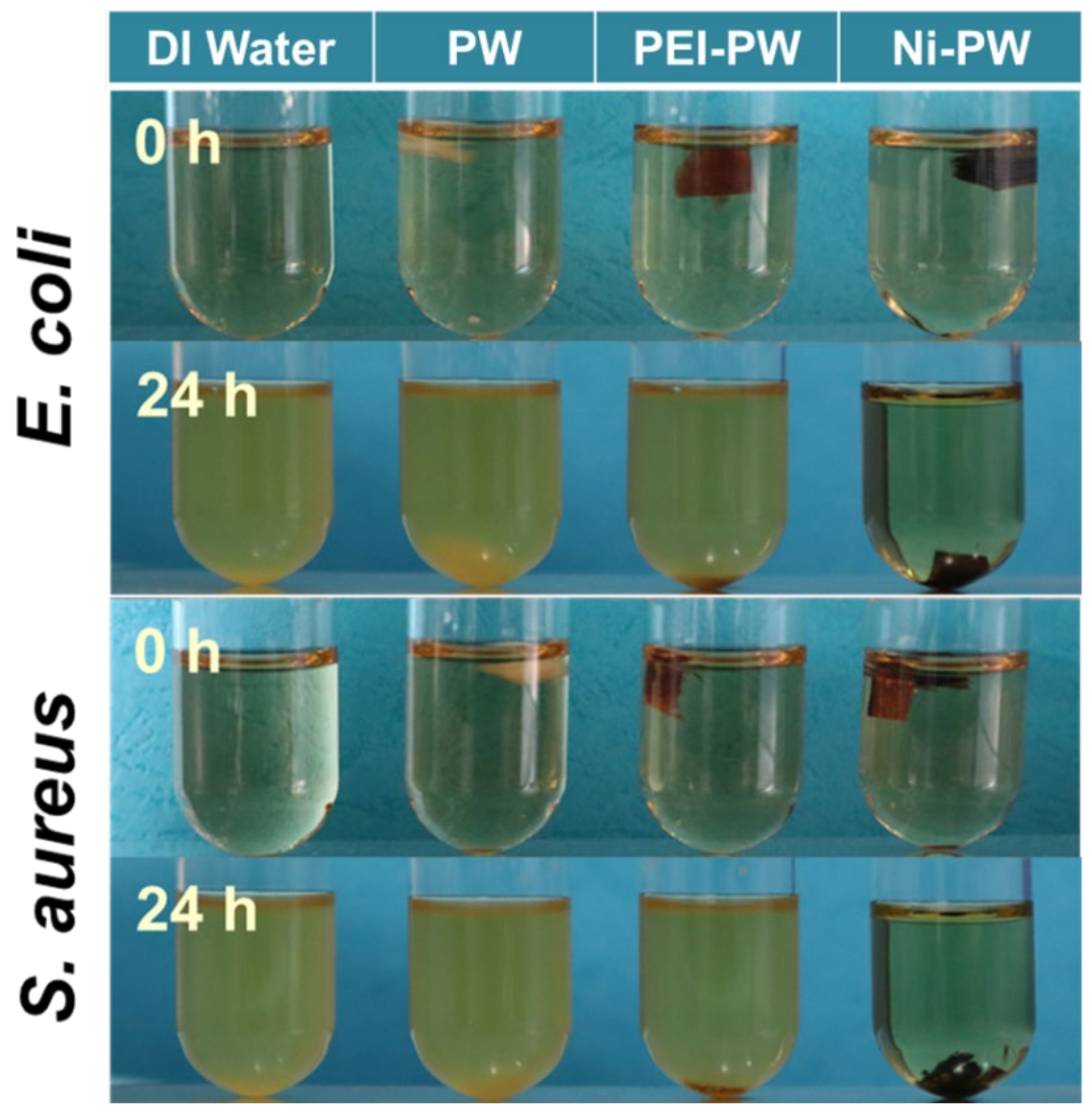 Coatings 12 01161 g004