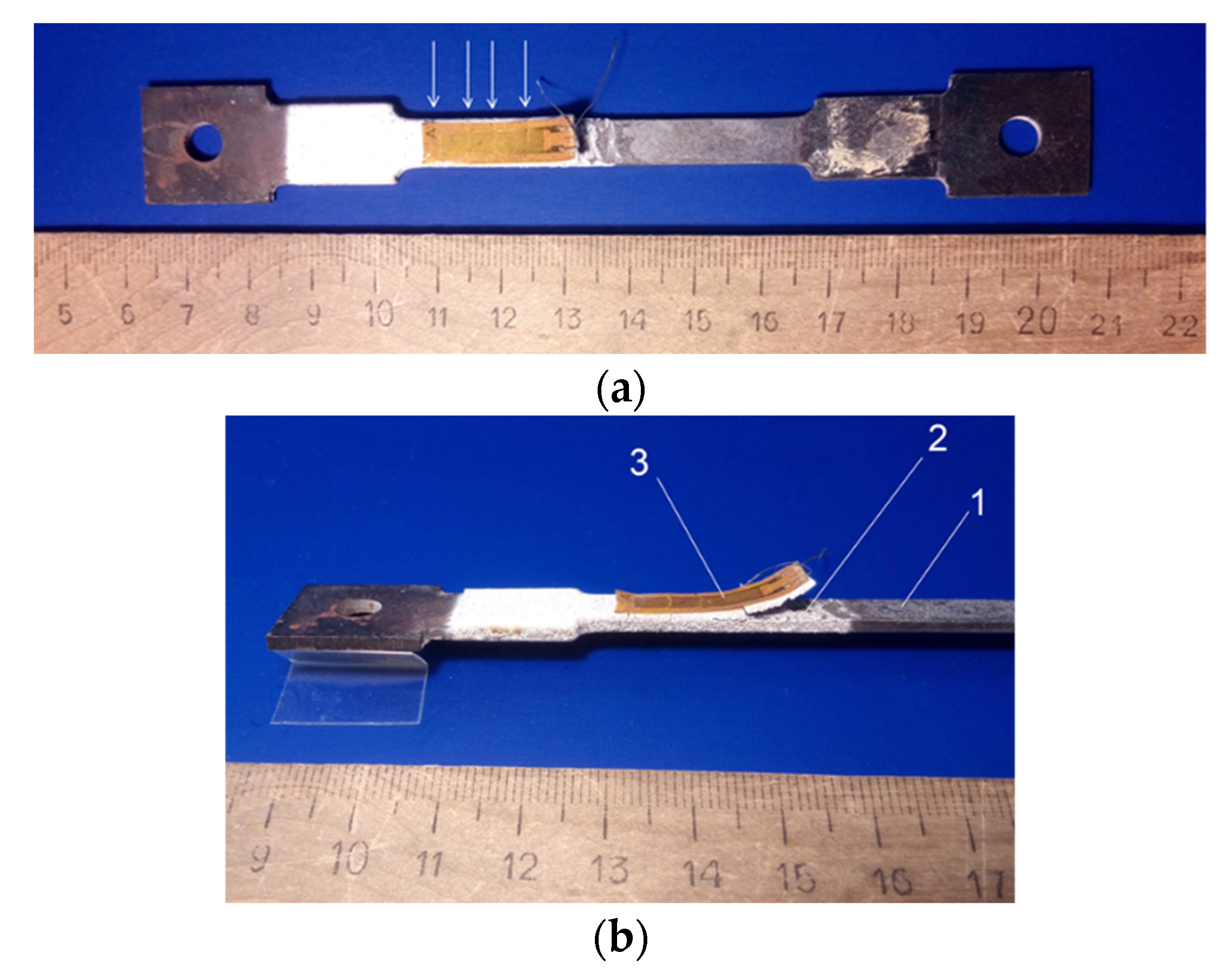Coatings 12 01175 g002