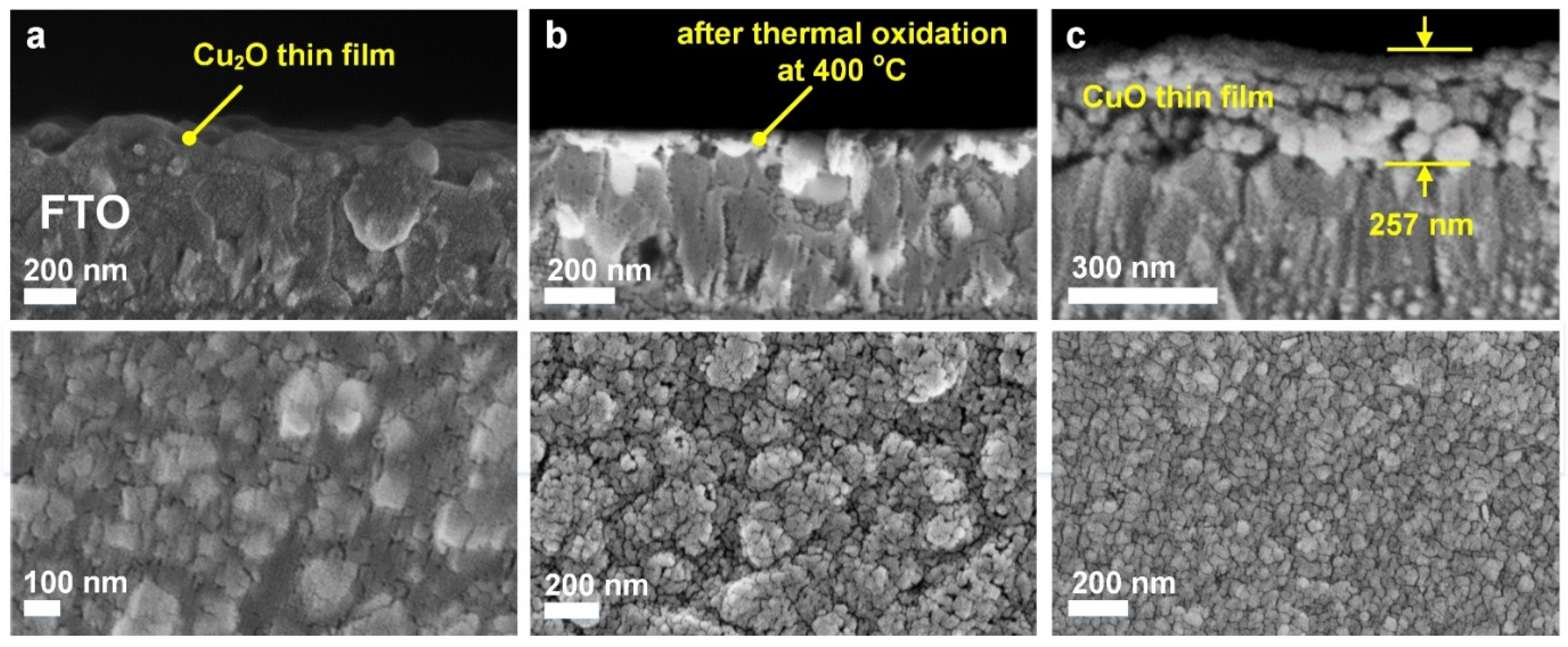 Coatings 12 01206 g004