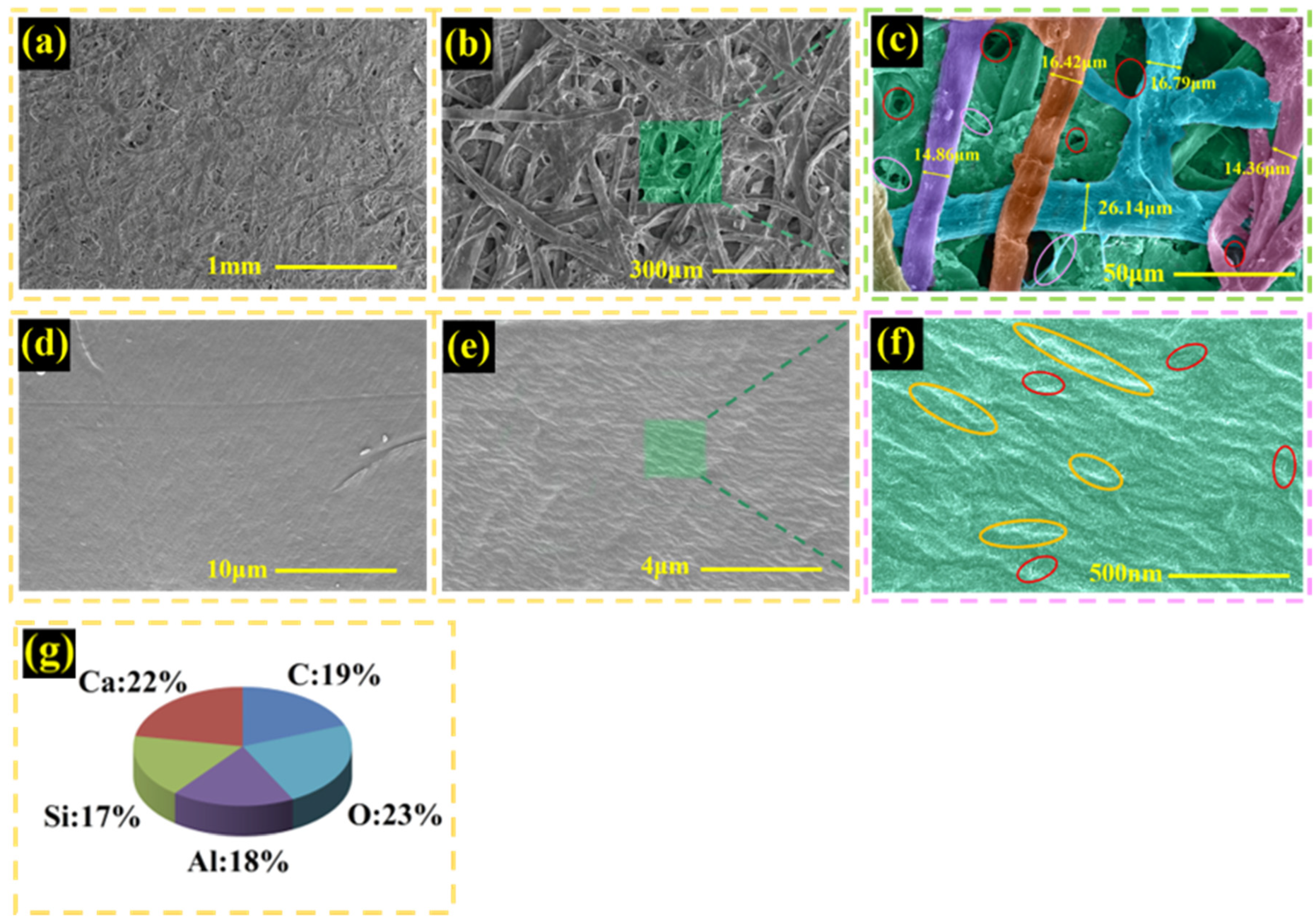 Coatings 12 01225 g005