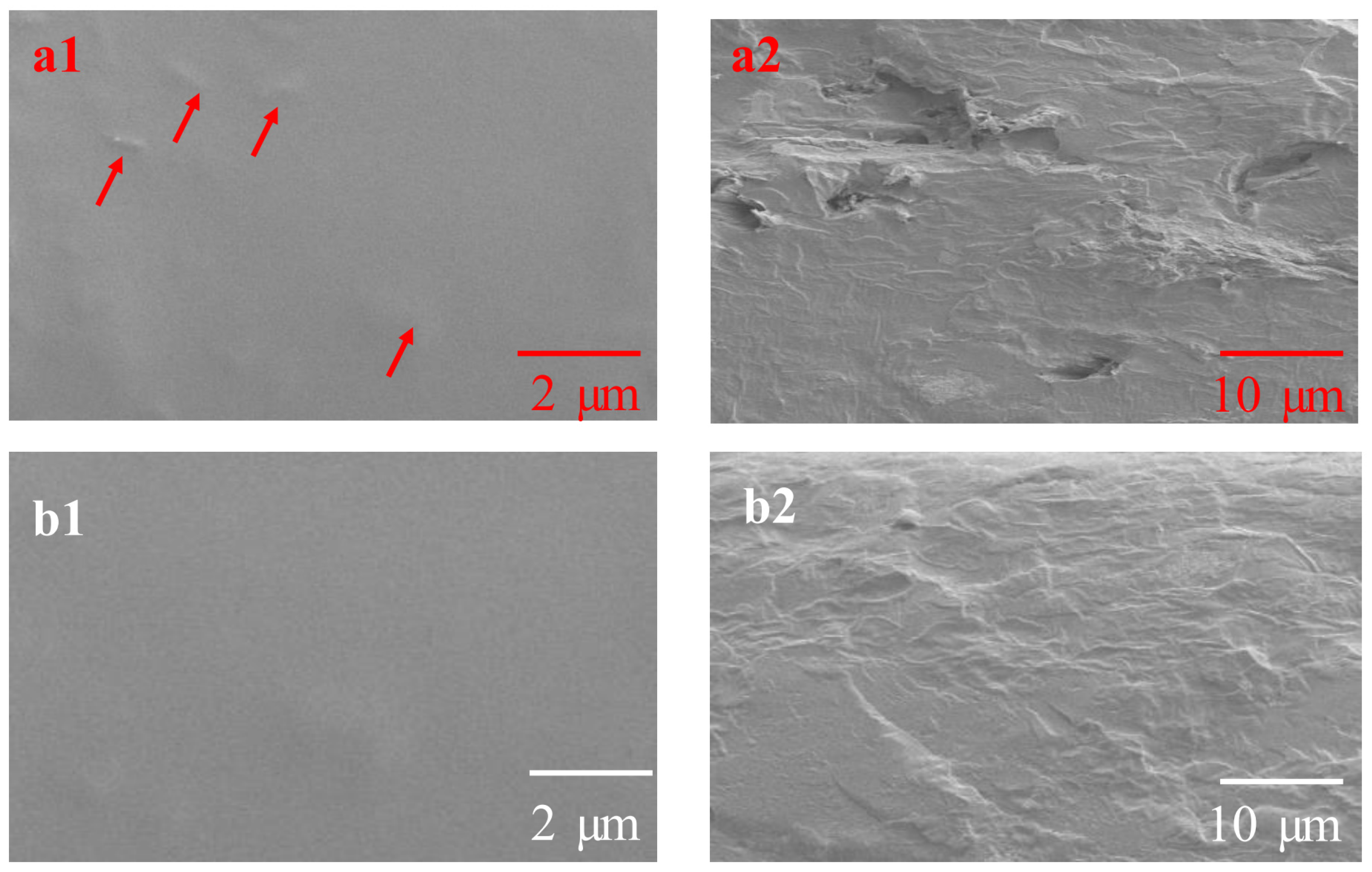 Coatings 12 01226 g009