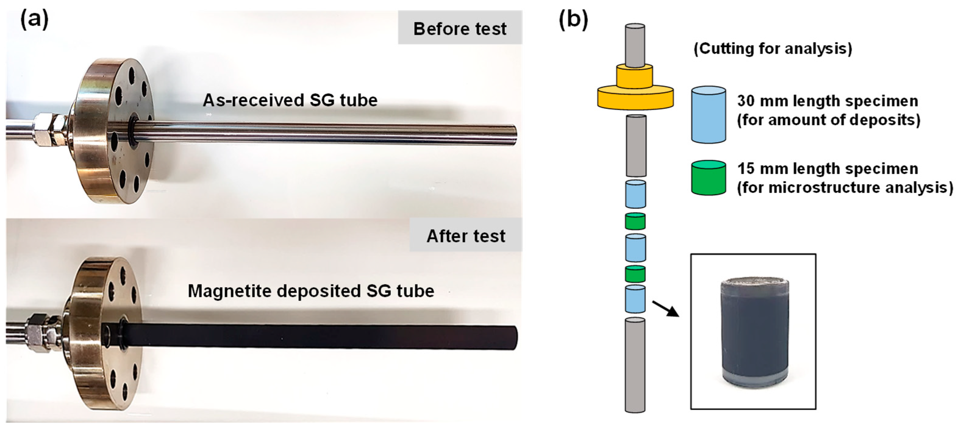 Coatings 12 01231 g002