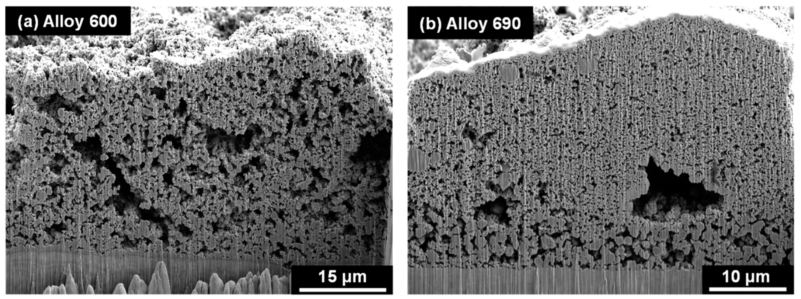 Coatings 12 01231 g010