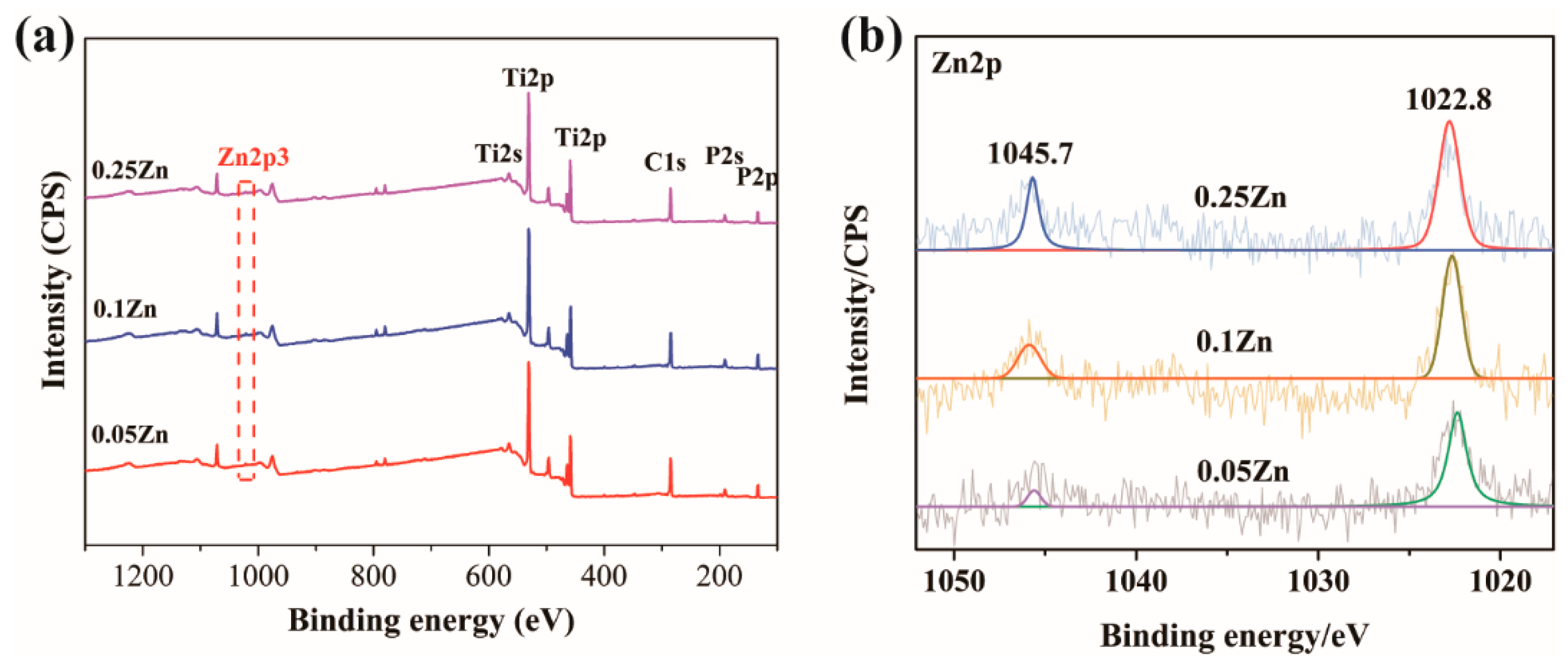Coatings 12 01264 g002