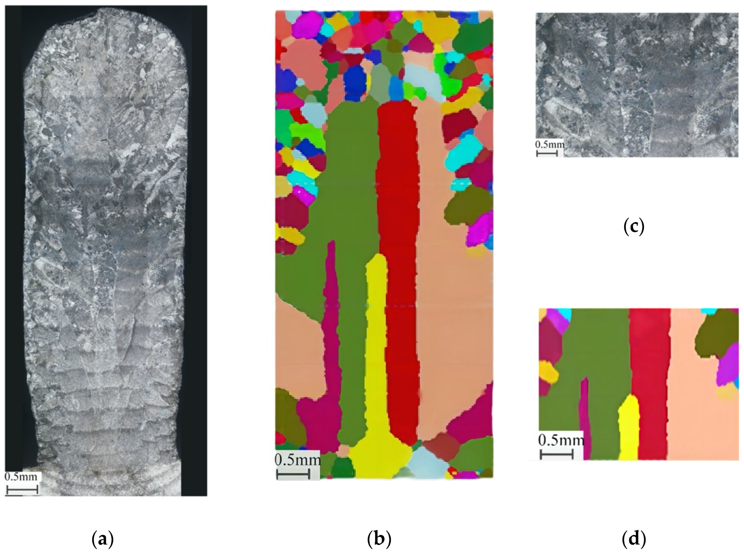 Coatings 12 01277 g003