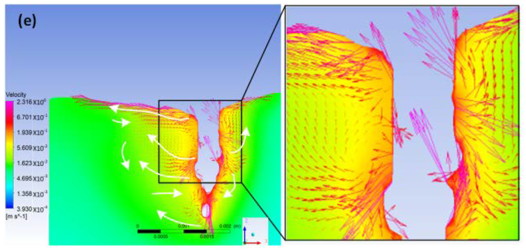 Coatings 12 01280 g009b
