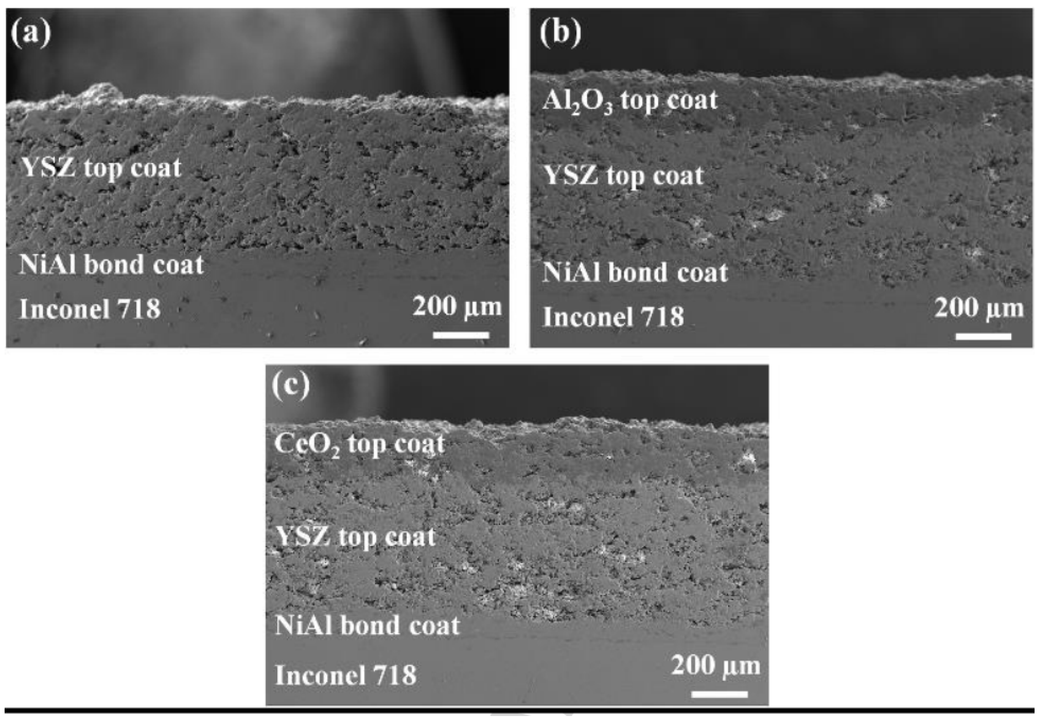 Coatings 12 01318 g007
