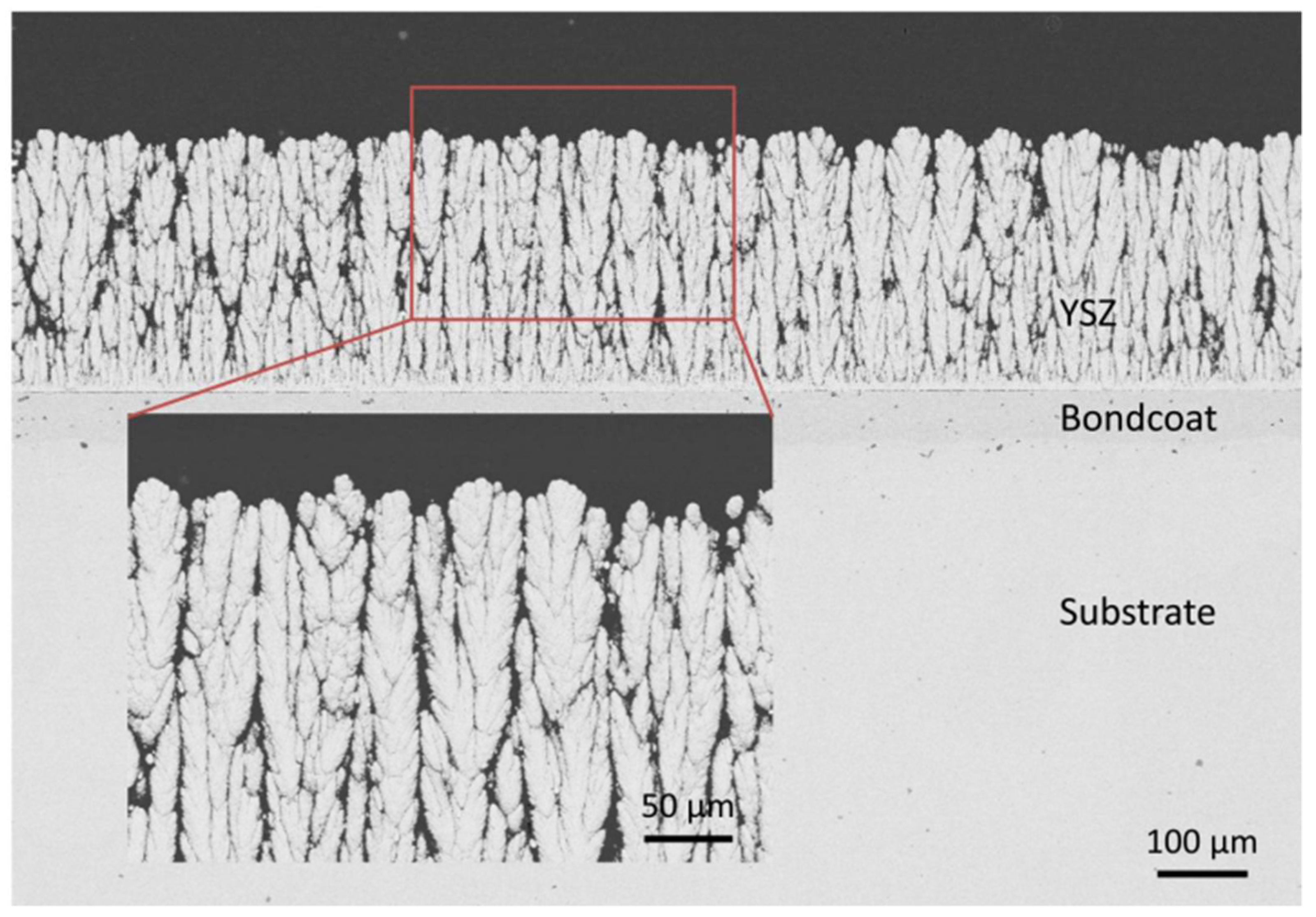 Coatings 12 01318 g016