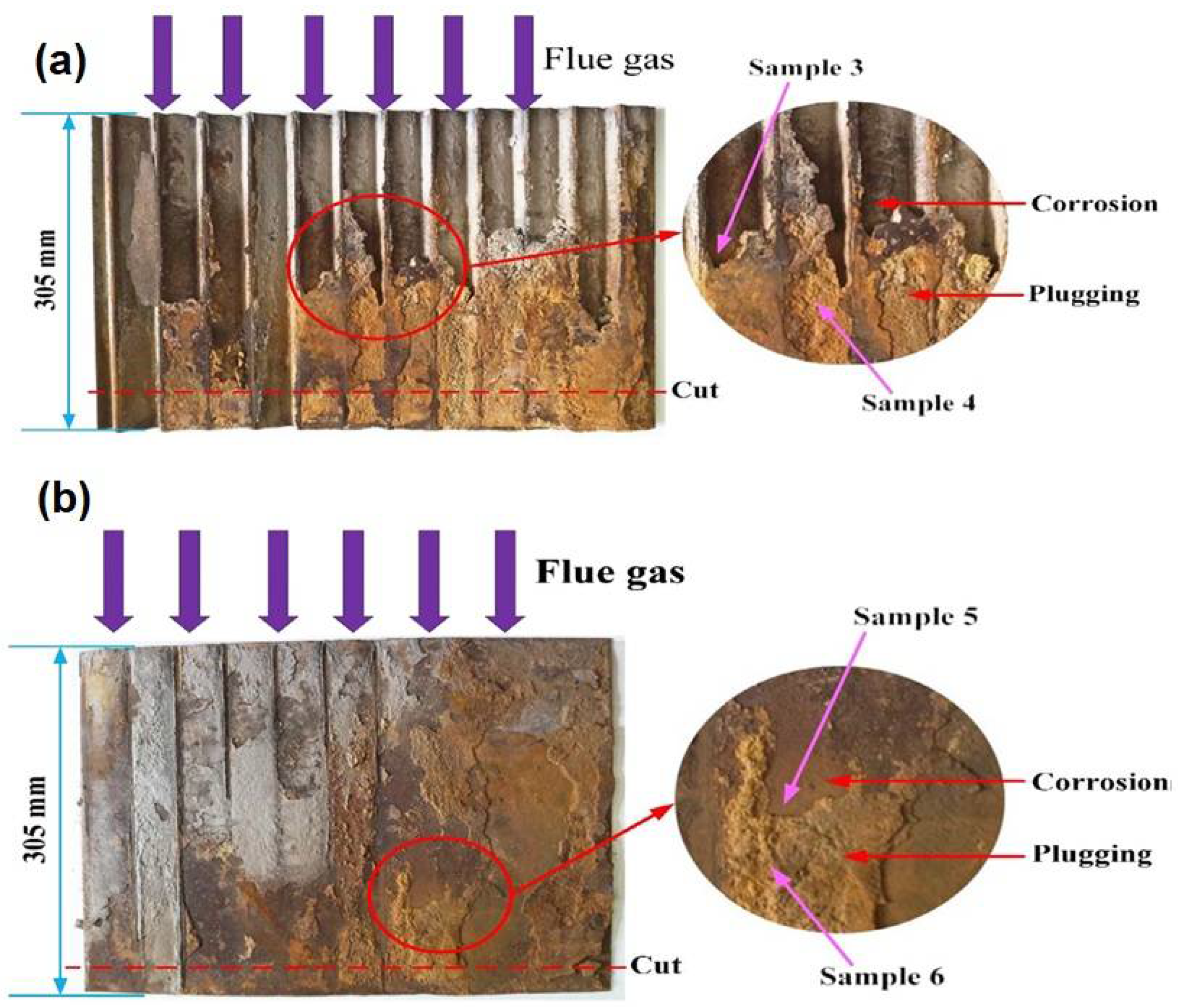 Coatings 12 01318 g018