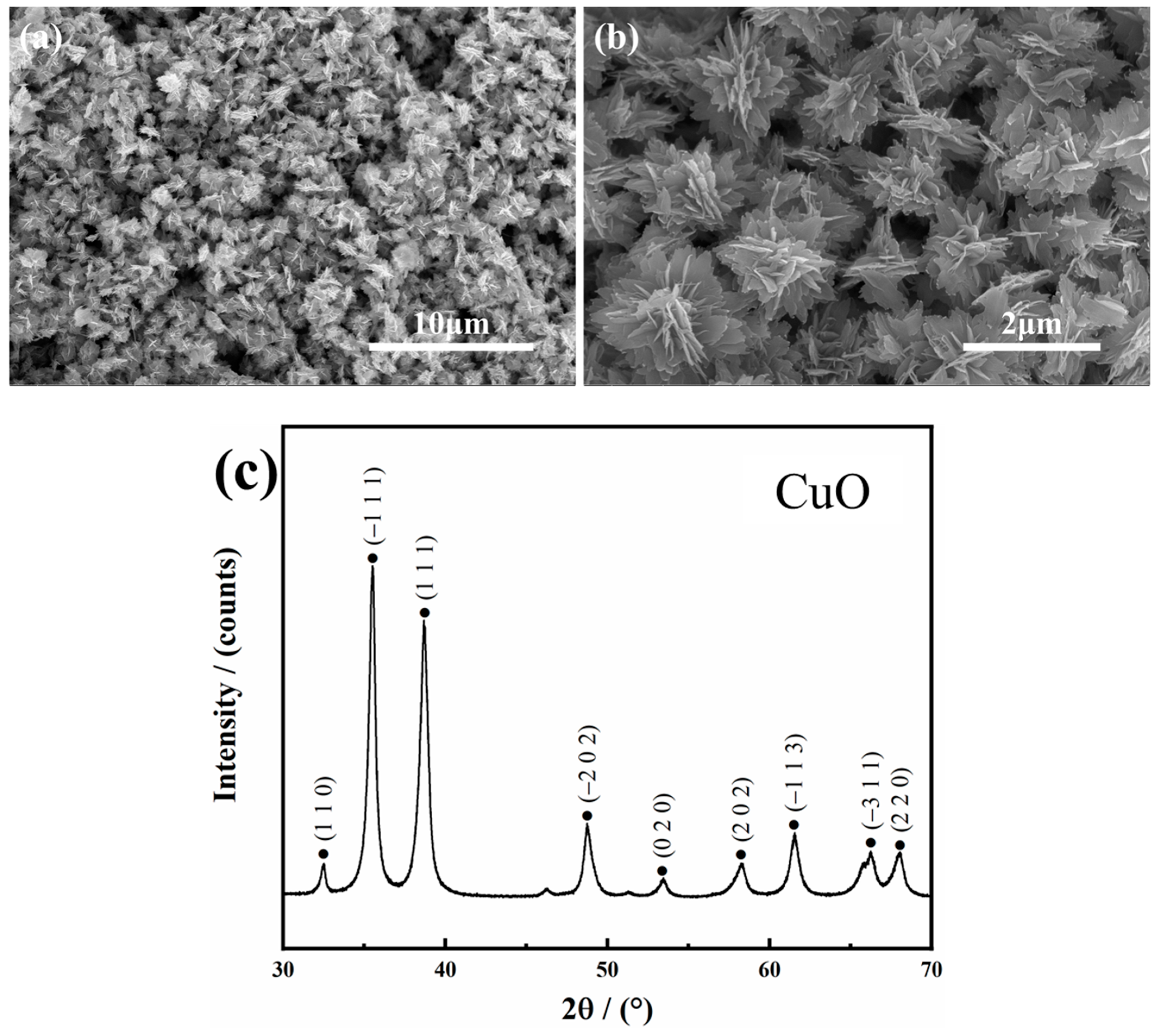 Coatings 12 01336 g003