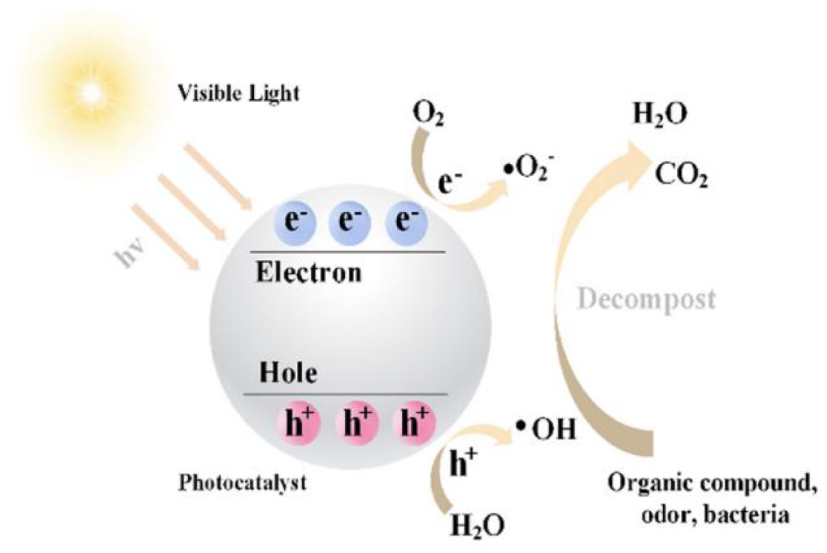 Coatings 12 01348 g003