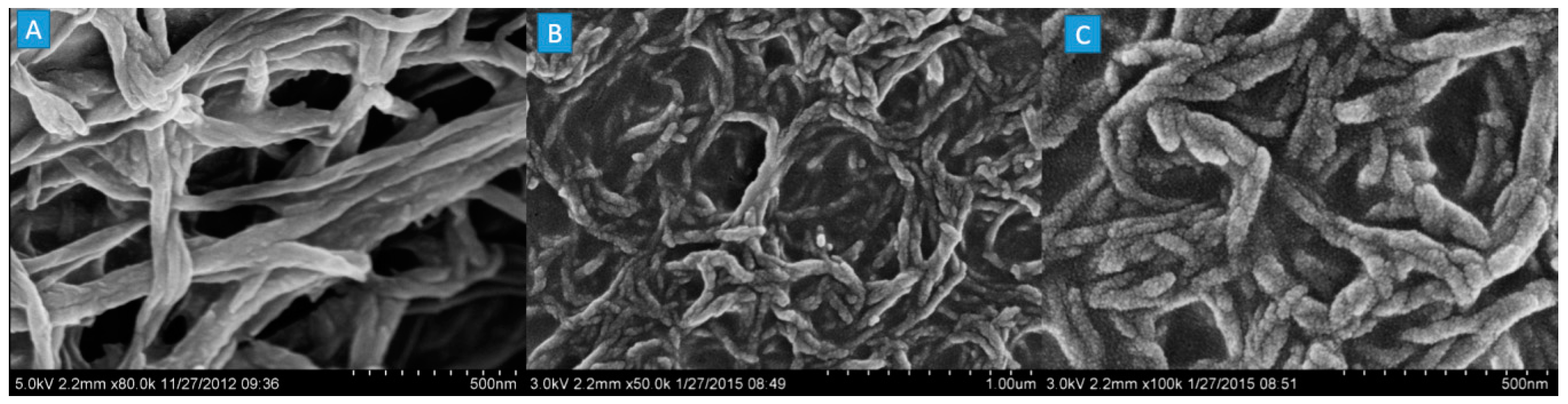 Coatings 12 01401 g003