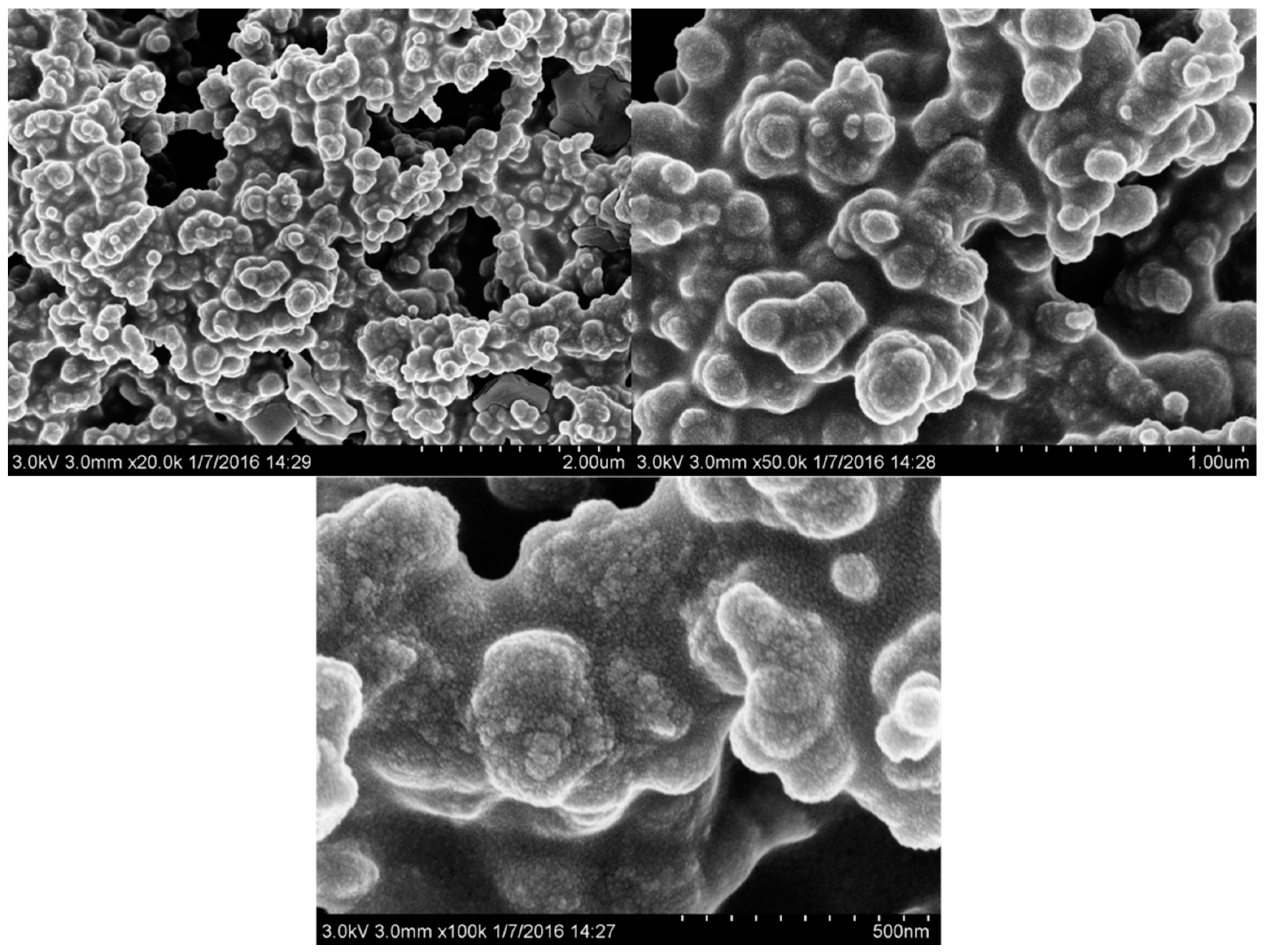 Coatings 12 01401 g004