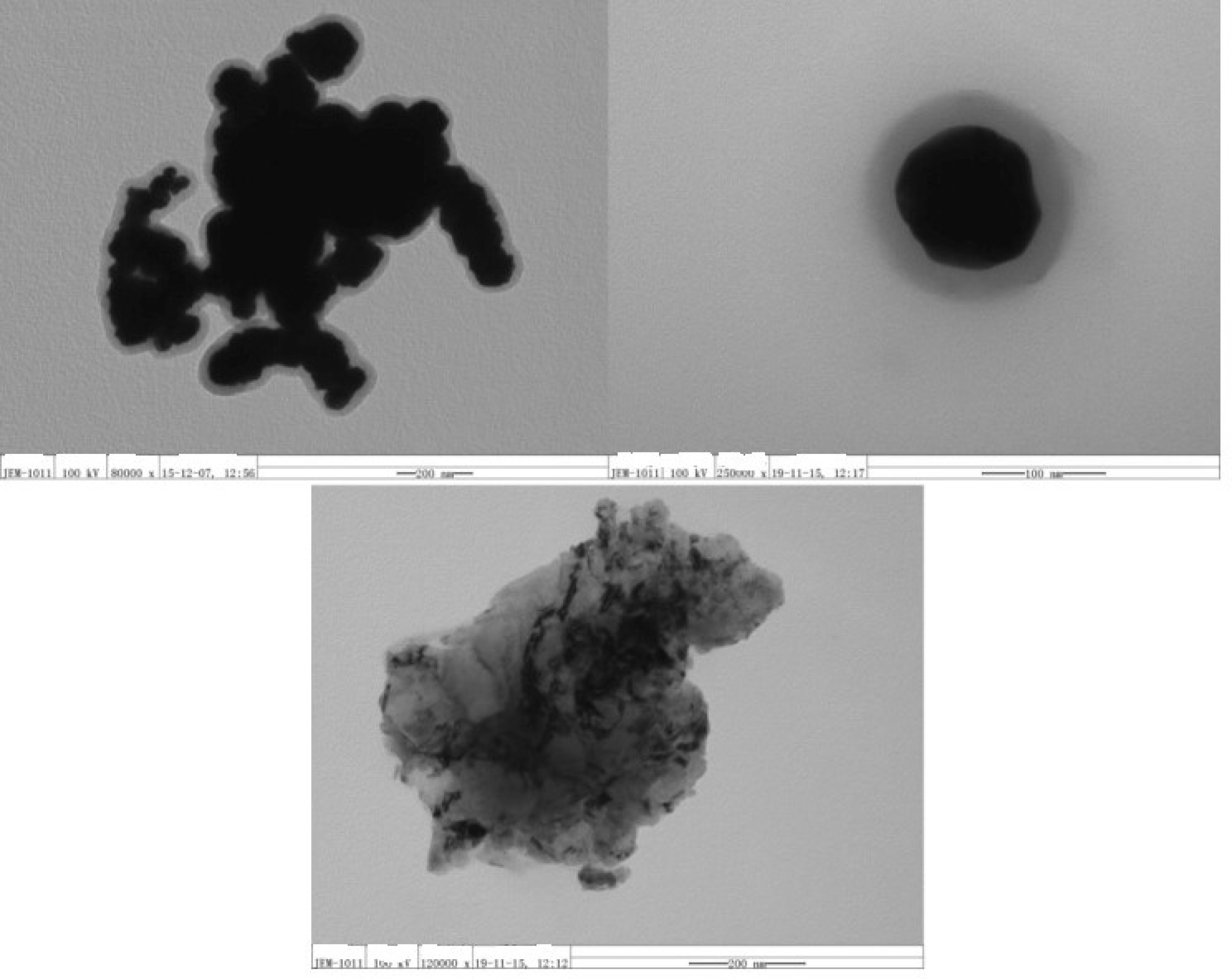 Coatings 12 01401 g005