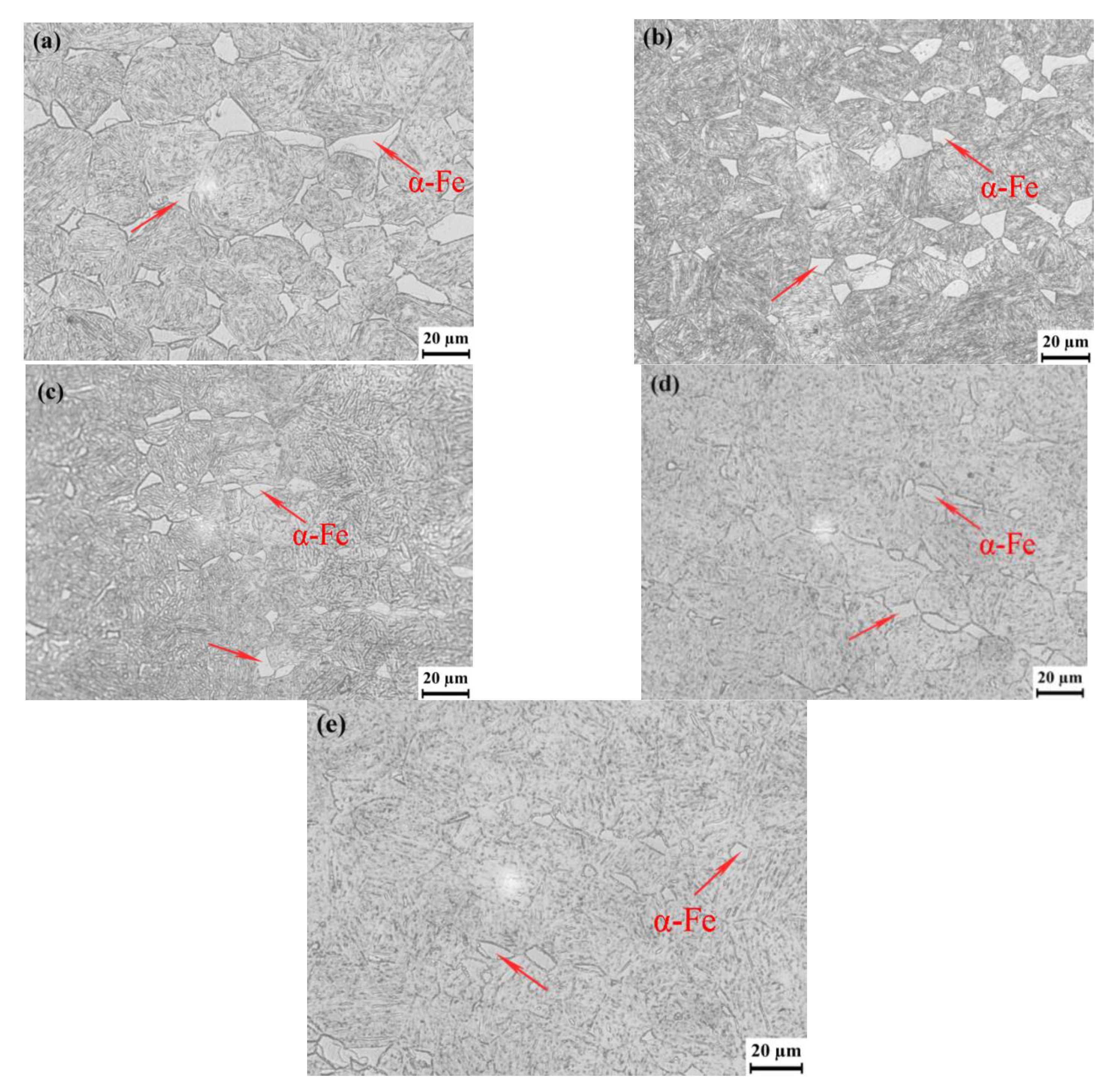 Coatings 12 01404 g002