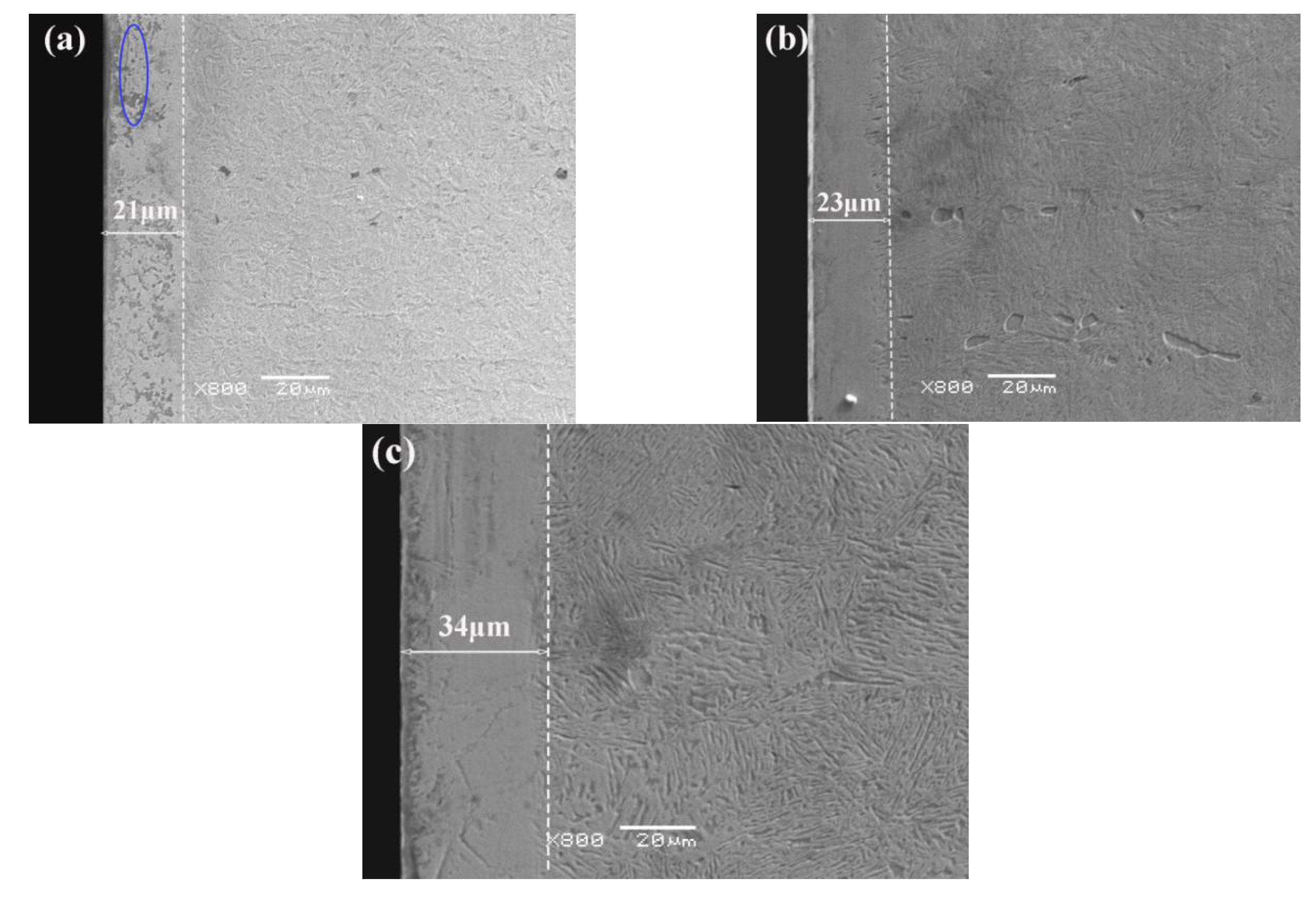 Coatings 12 01404 g004