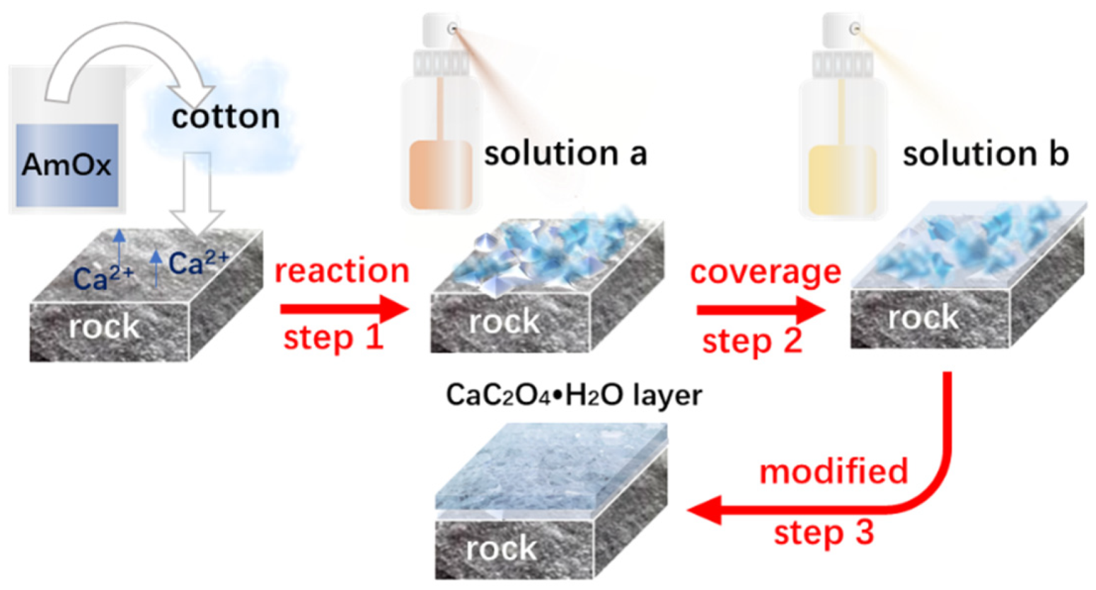Coatings 12 01412 g001