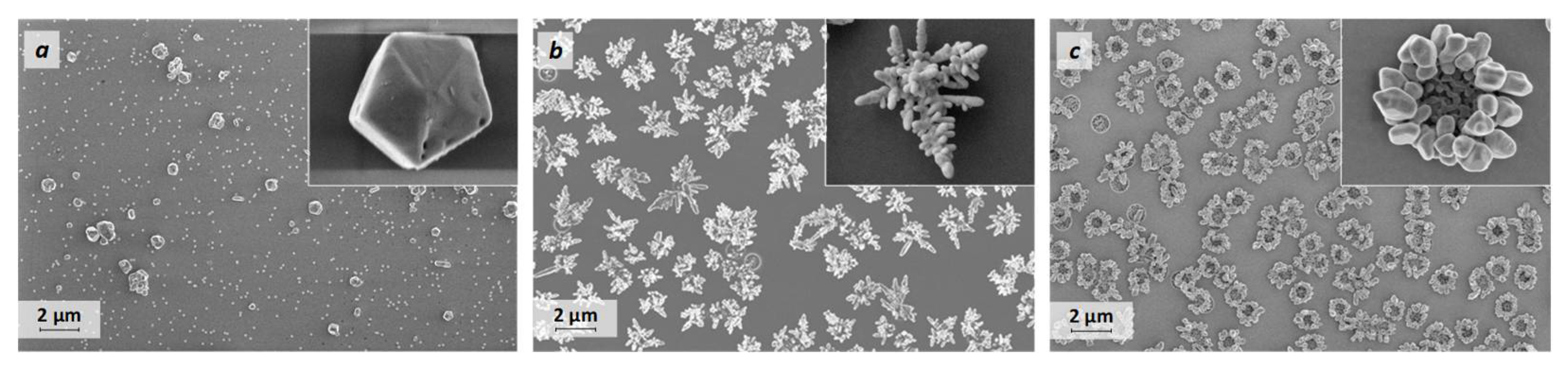 Coatings 12 01419 g002