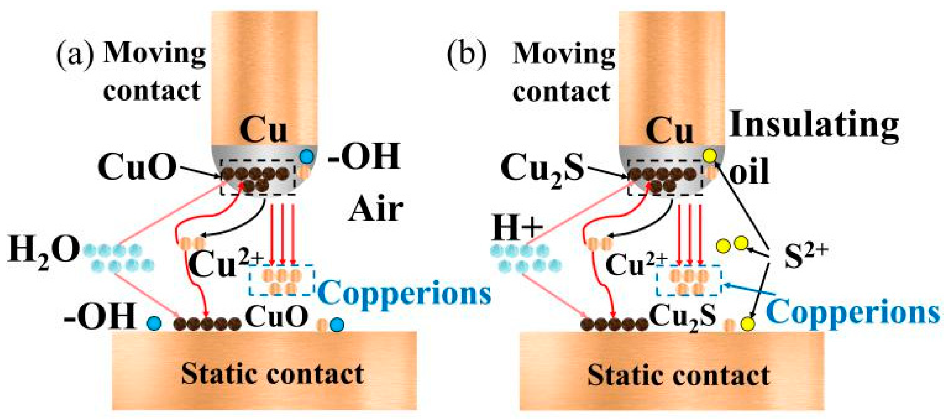 Coatings 12 01436 g010