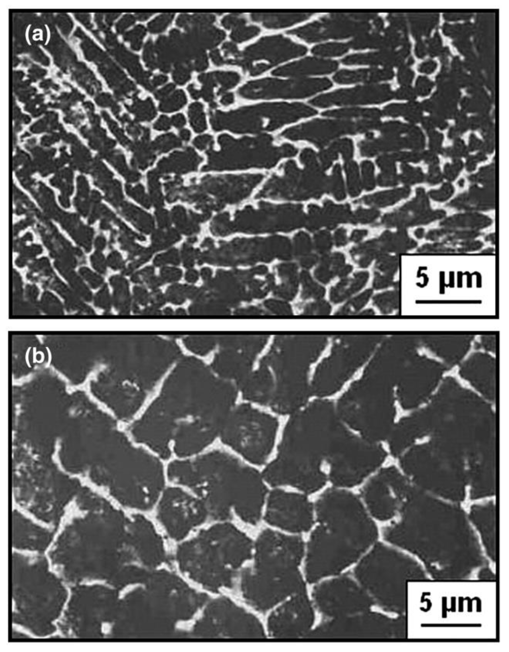 Coatings 12 01444 g007