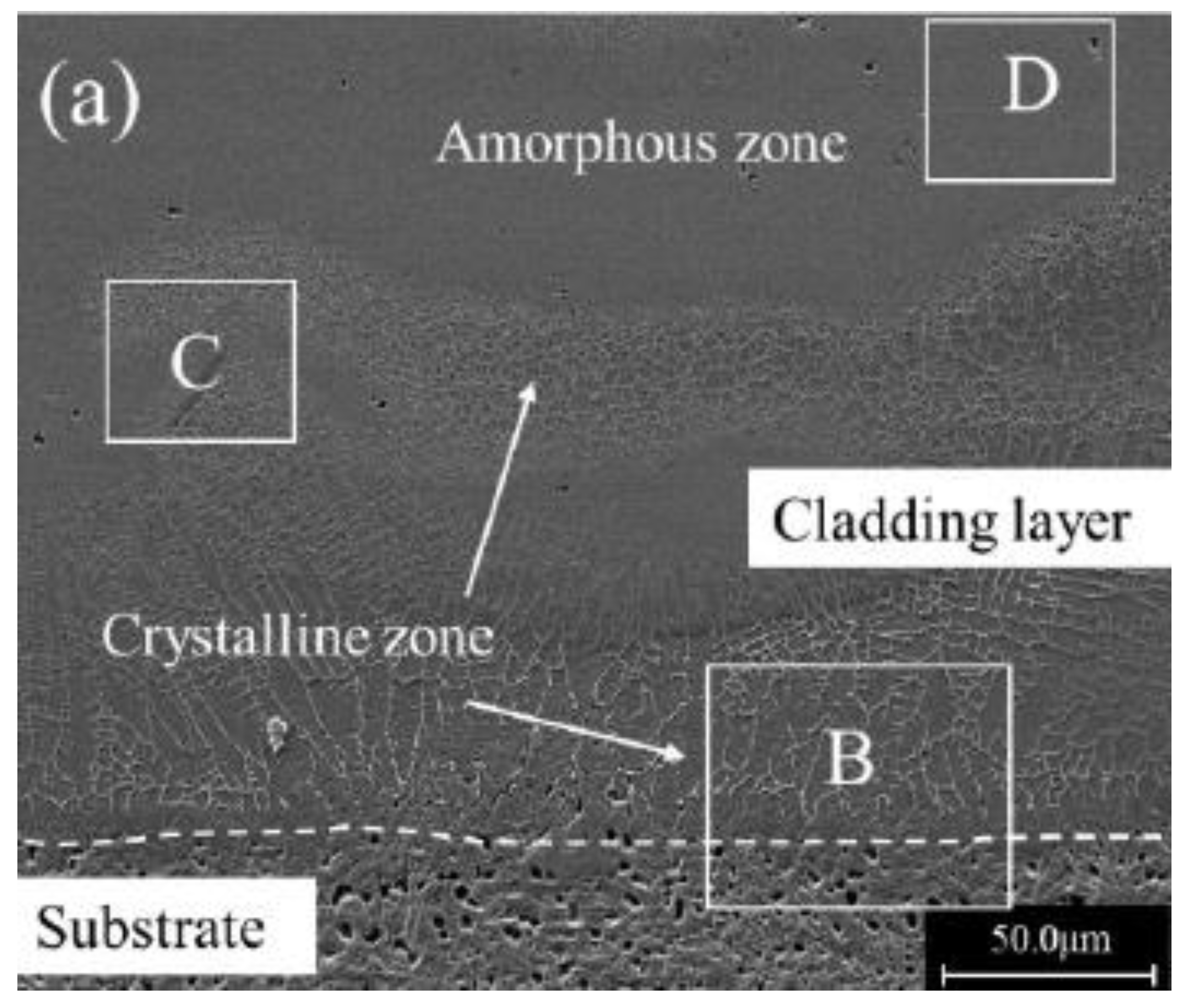 Coatings 12 01444 g015