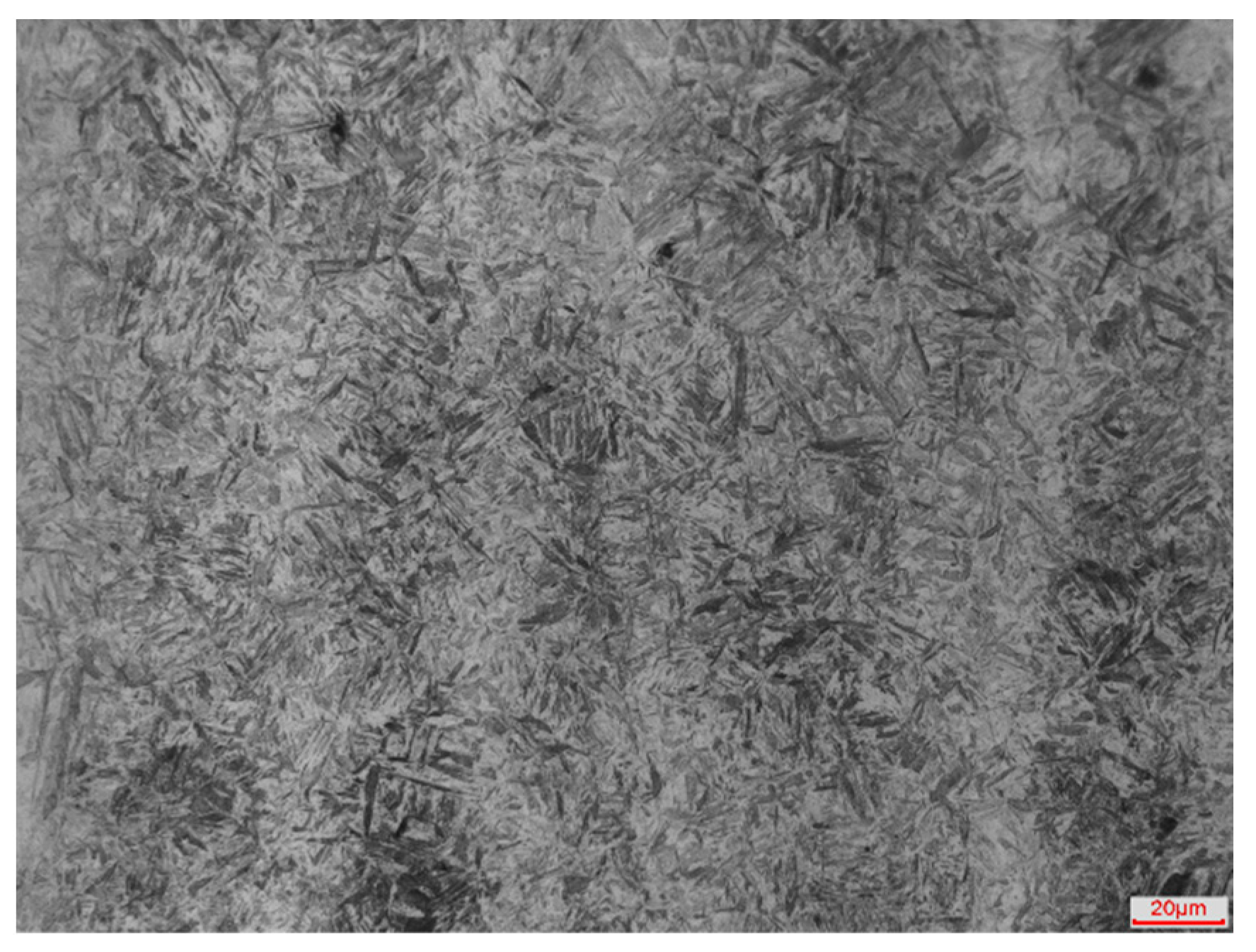 Coatings 12 01451 g001