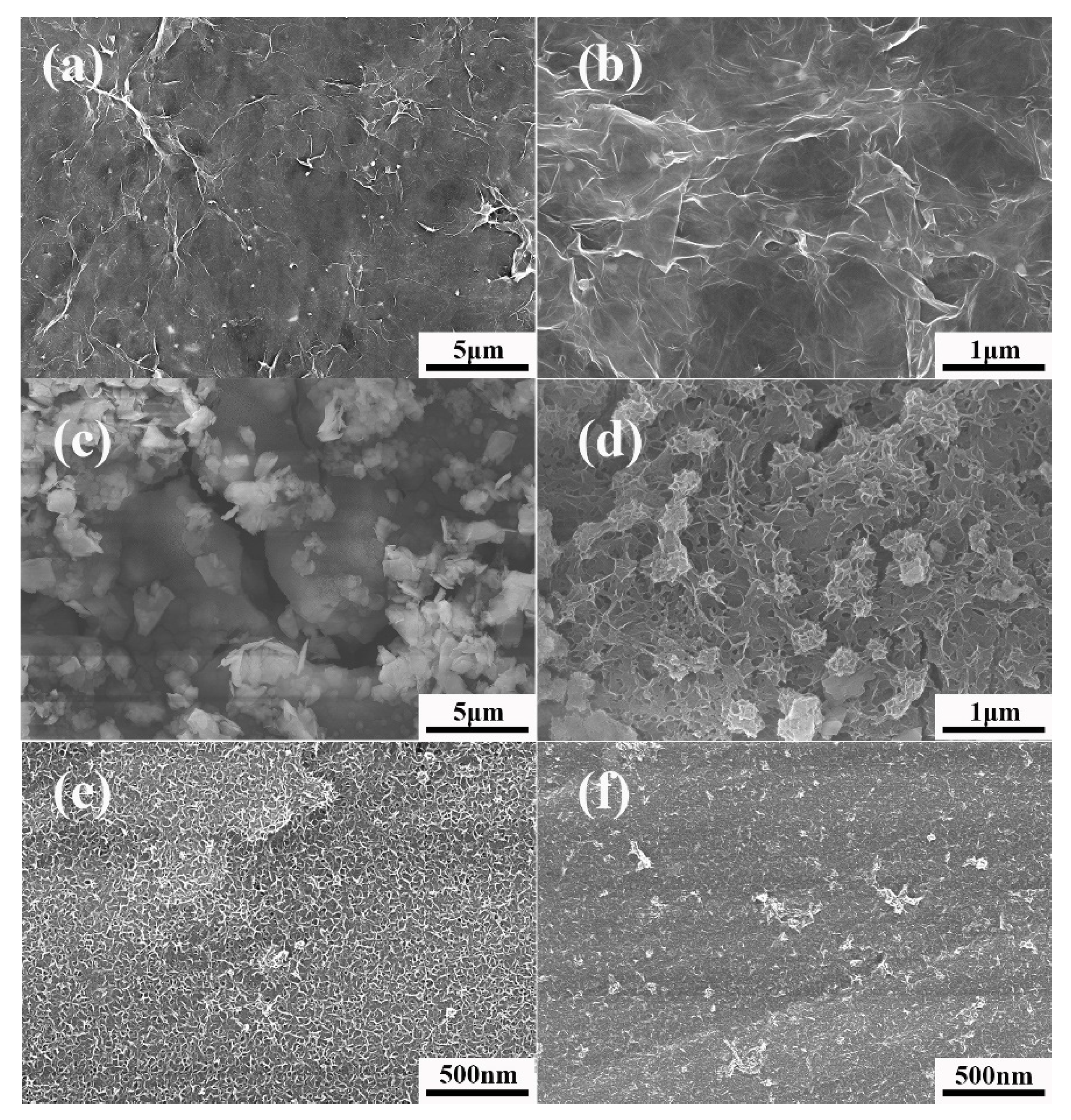 Coatings 12 01488 g002