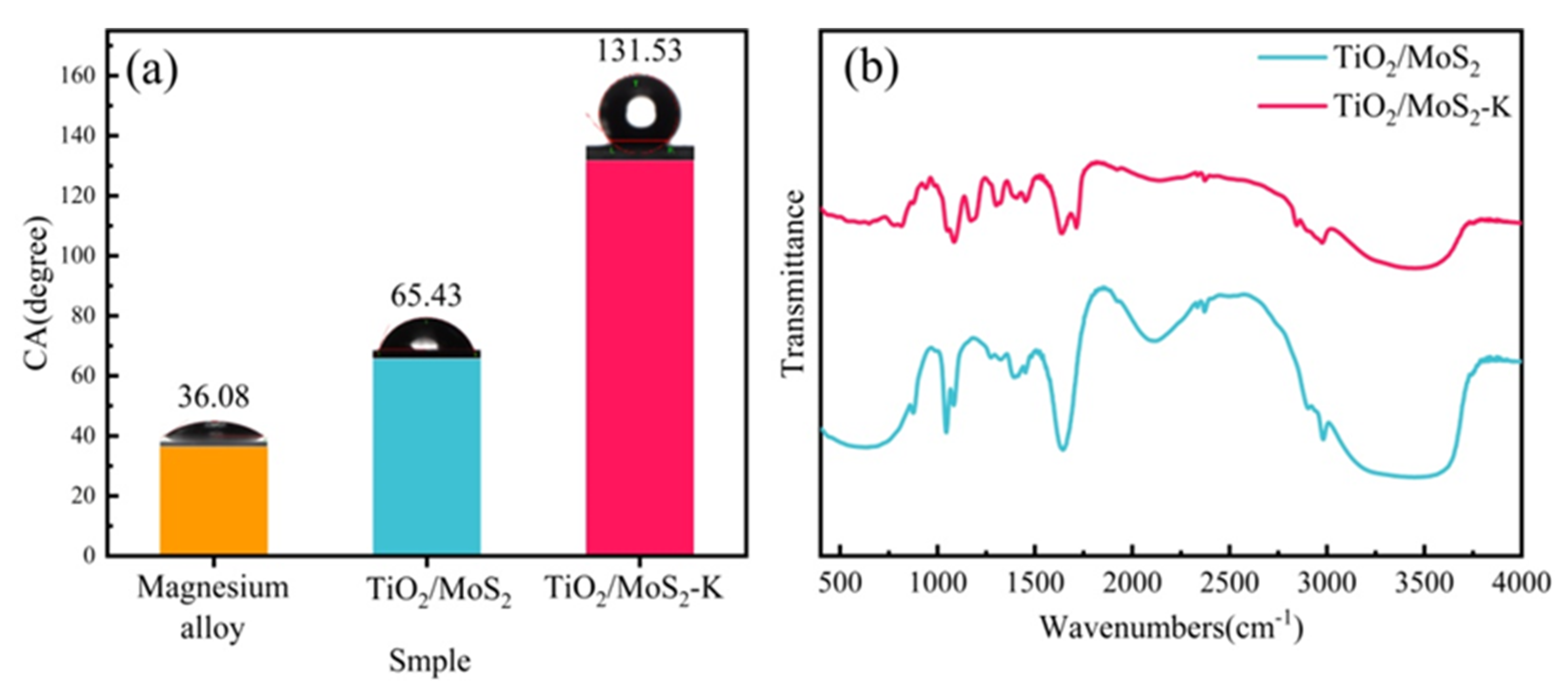 Coatings 12 01488 g005