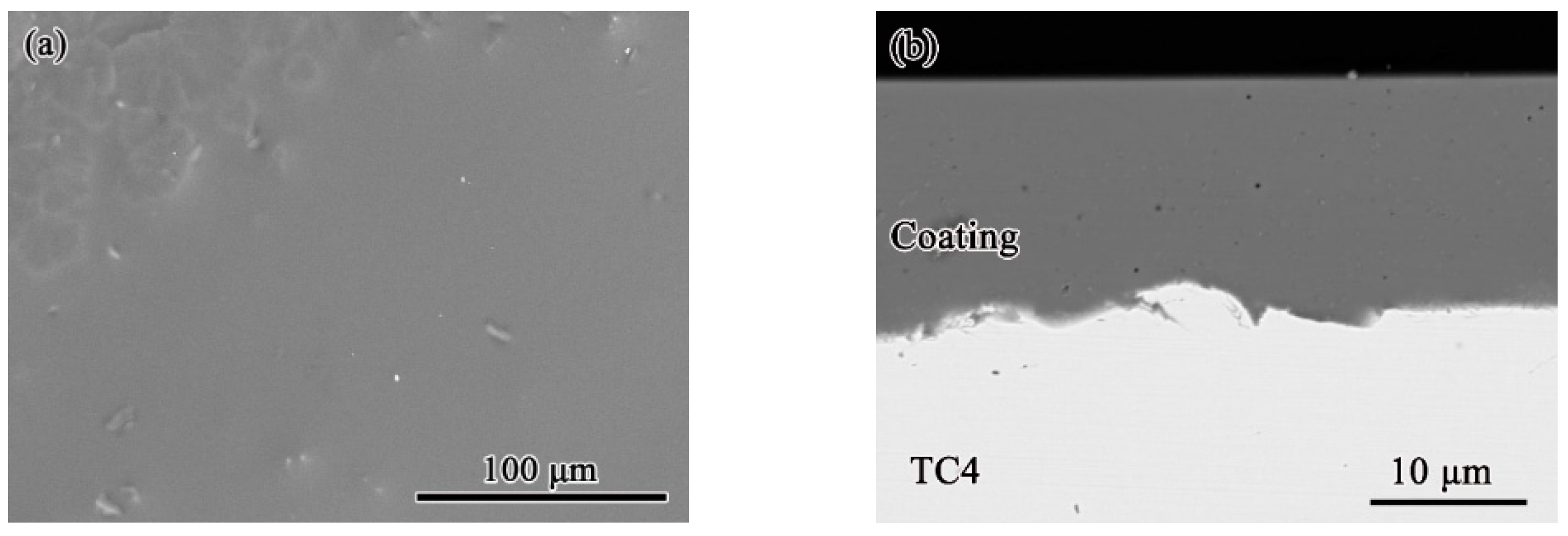 Coatings 12 01503 g001 Coatings 12 01503 g001