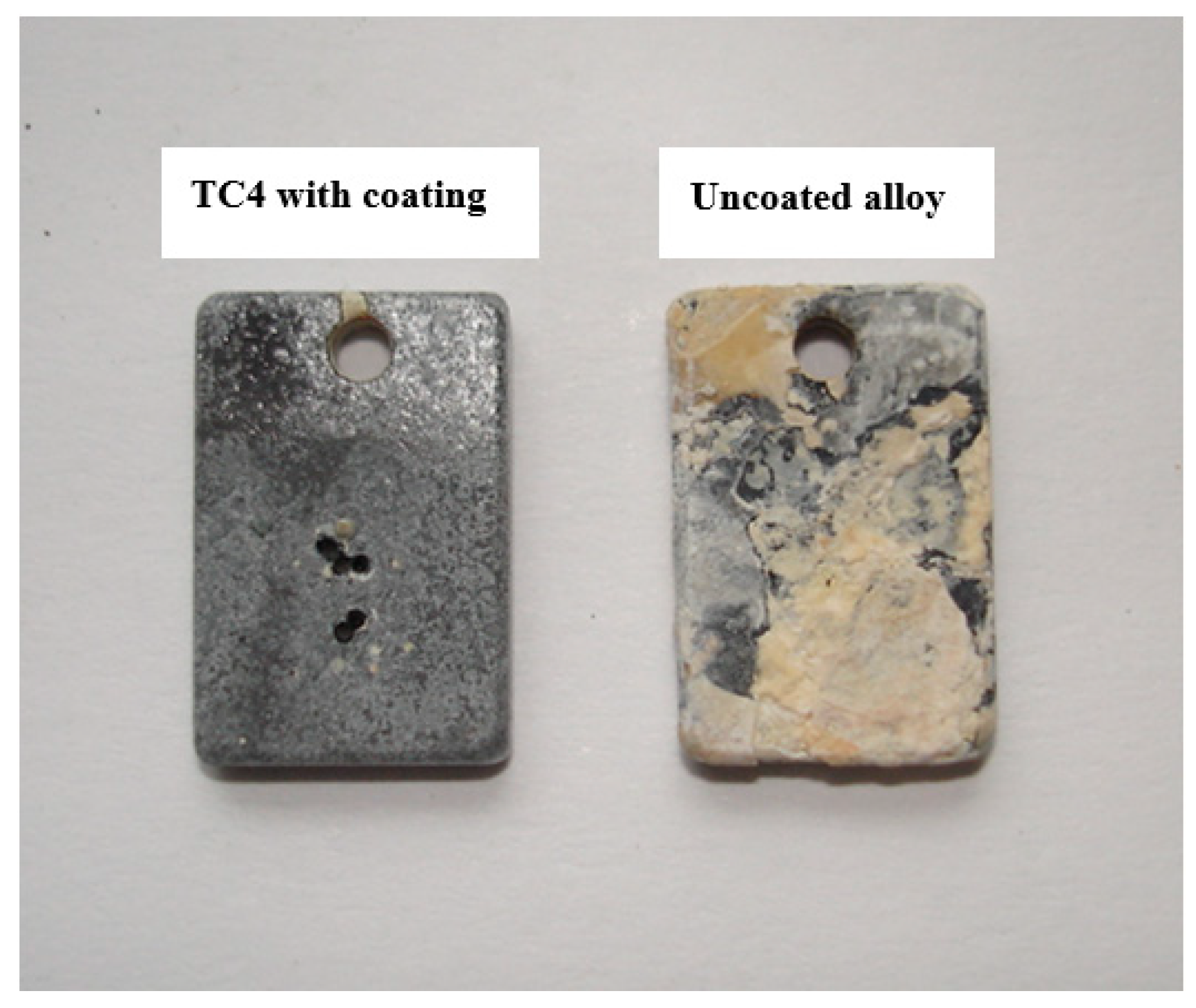 Coatings 12 01503 g003 Coatings 12 01503 g003