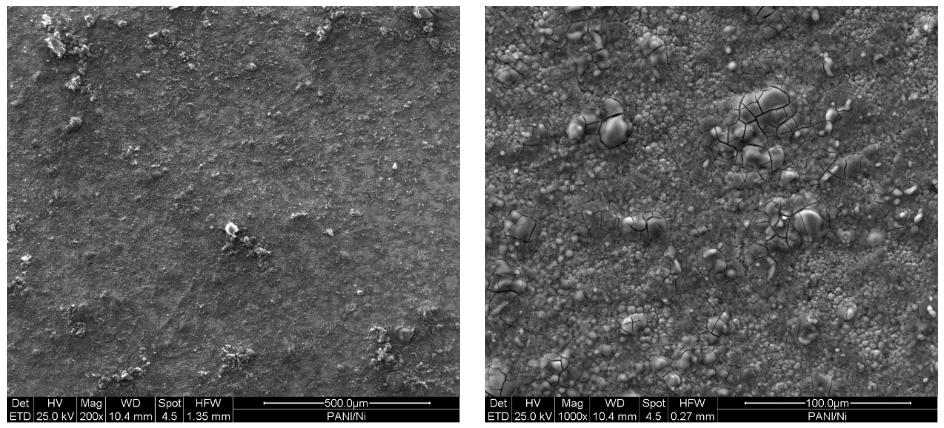 Coatings 12 01518 g005 Coatings 12 01518 g005