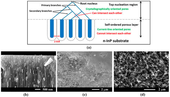 Coatings Free Full Text Controlled Electroplating Of Noble Metals