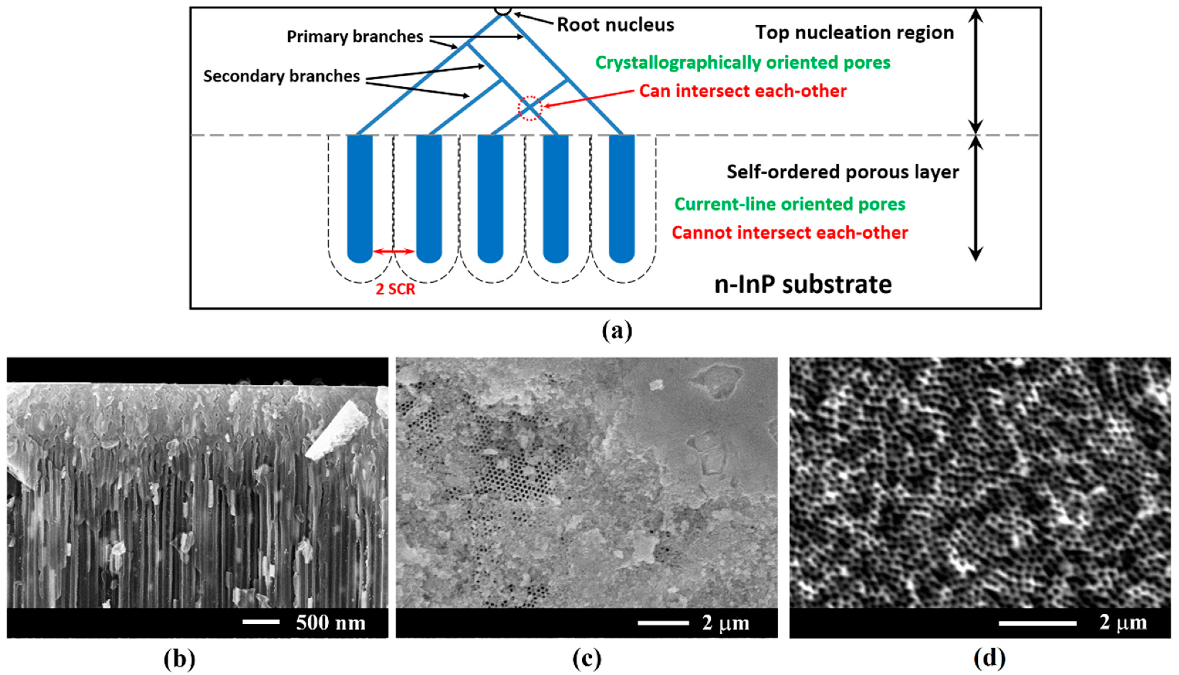 Coatings 12 01521 g002 Coatings 12 01521 g002
