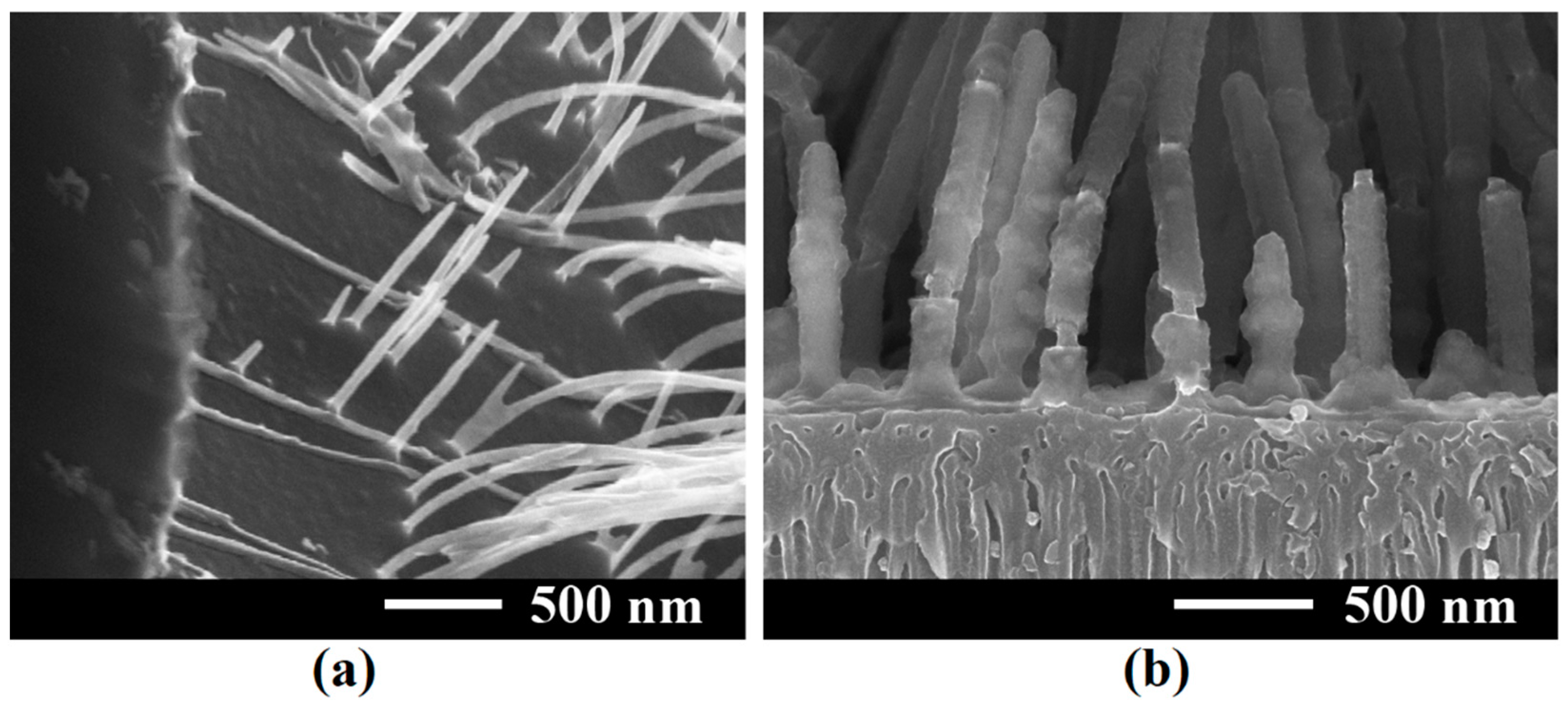 Coatings 12 01521 g007 Coatings 12 01521 g007
