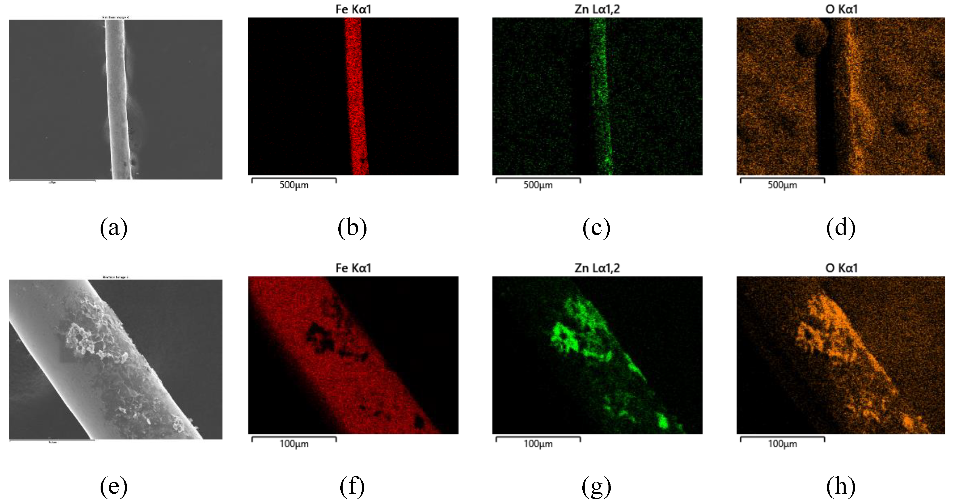 Coatings 12 01527 g010 Coatings 12 01527 g010