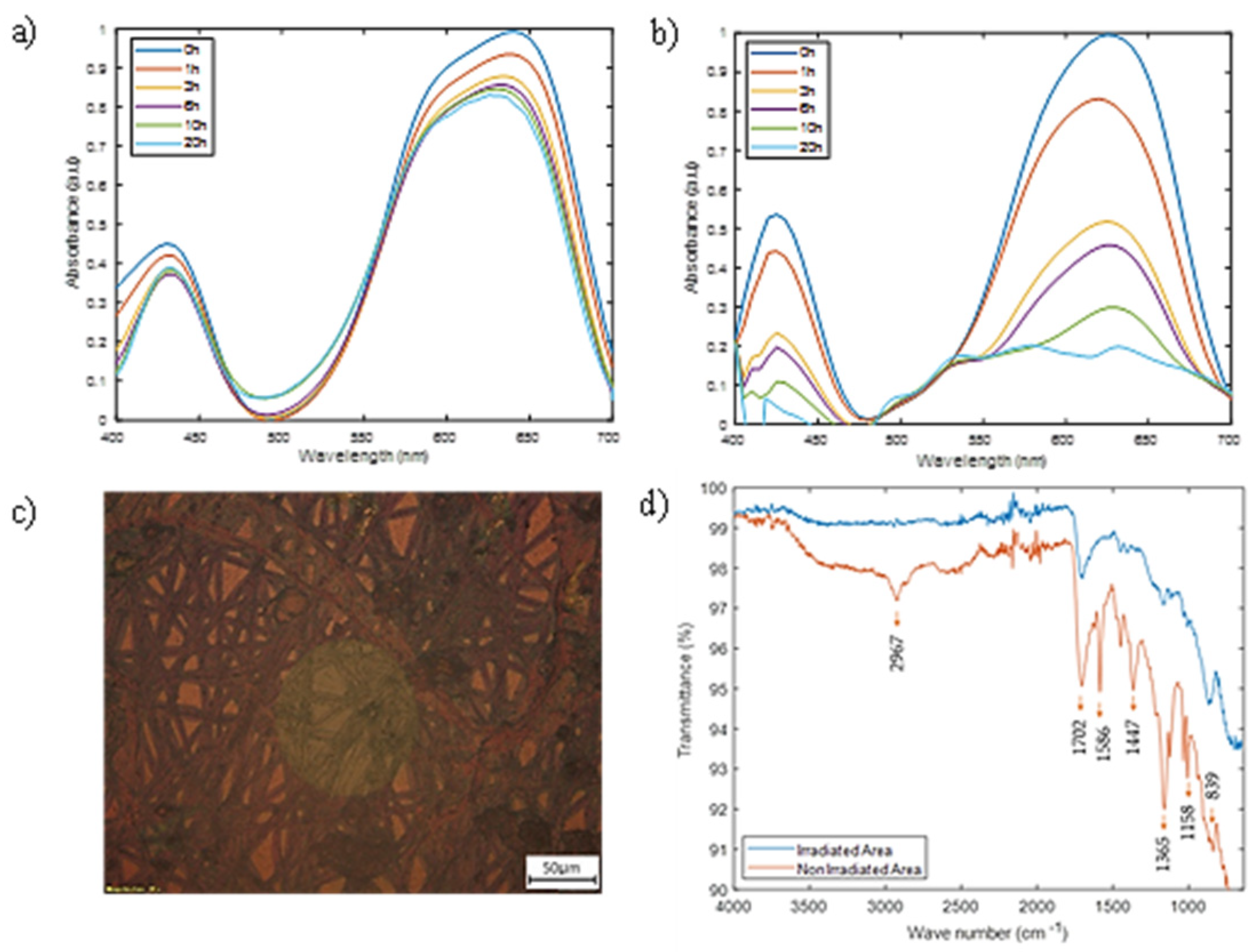 Coatings 12 01529 g008 Coatings 12 01529 g008