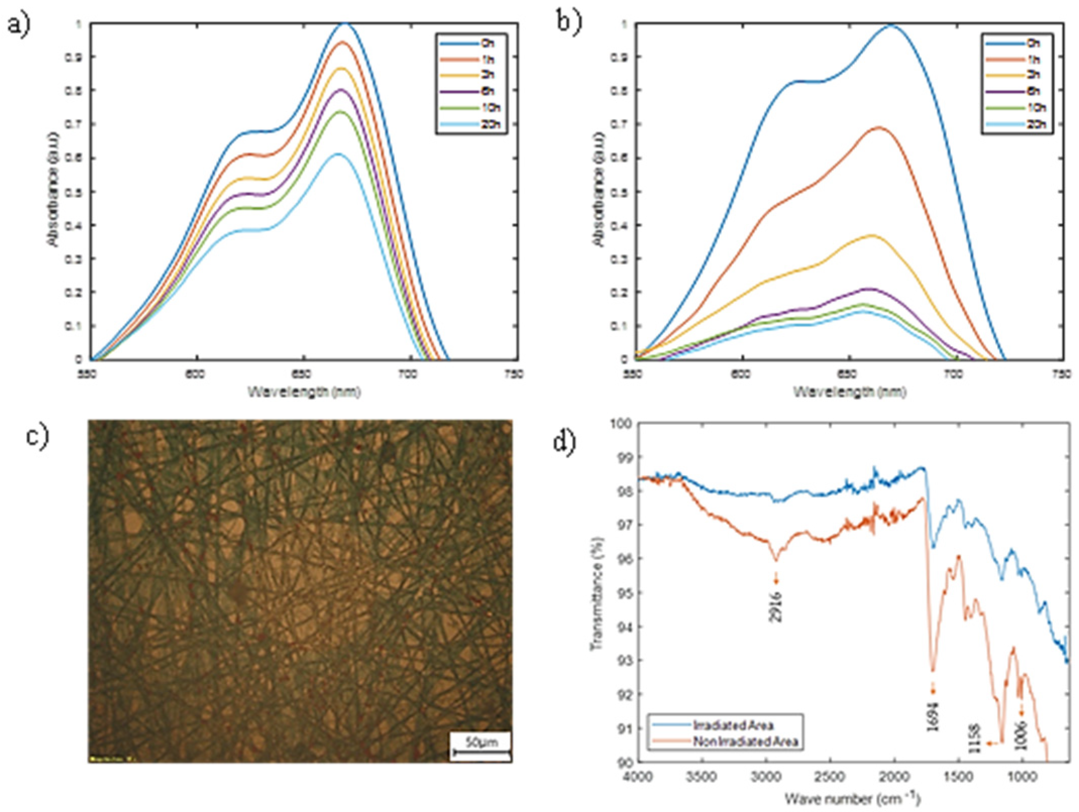 Coatings 12 01529 g010 Coatings 12 01529 g010