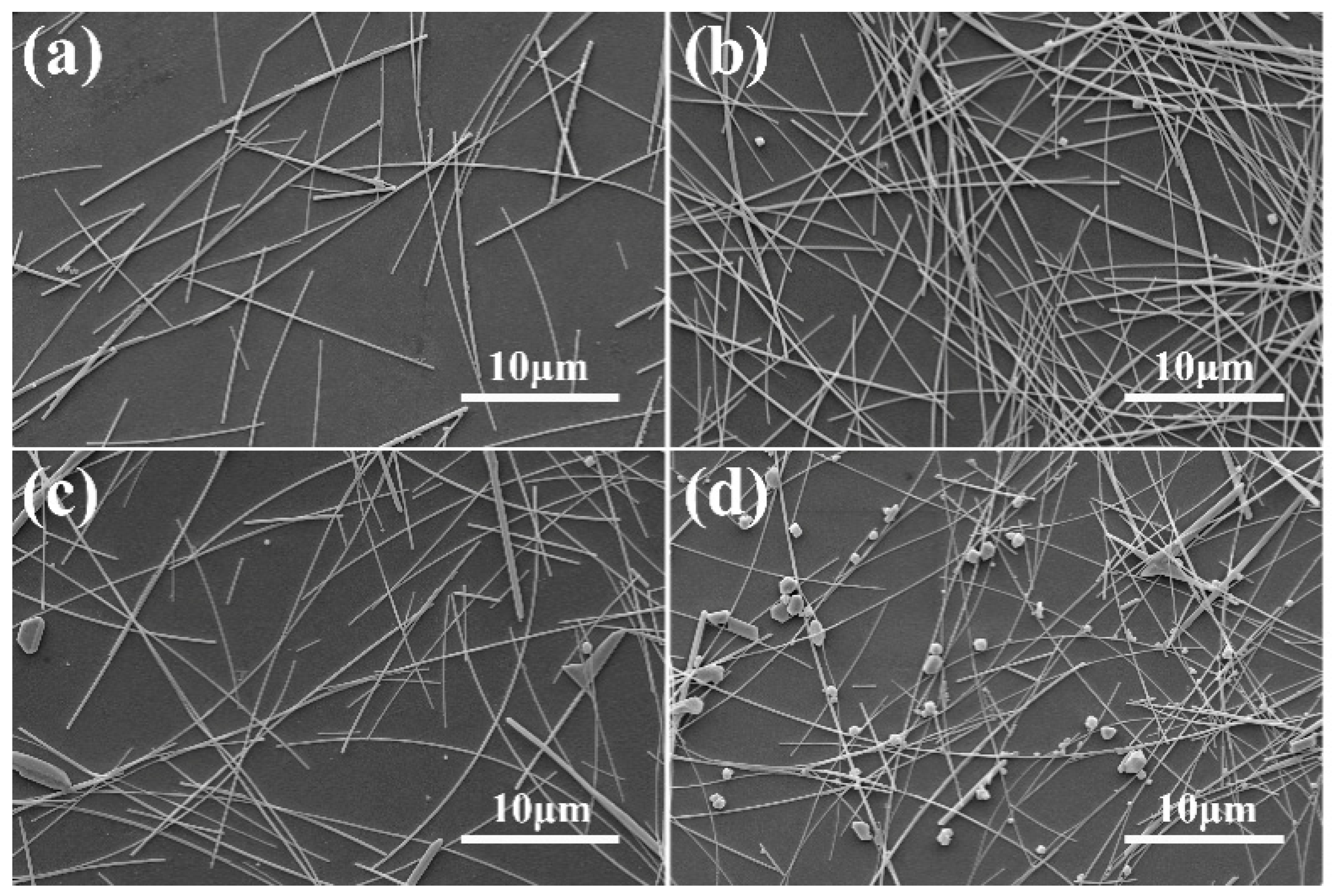 Coatings 12 01552 g002