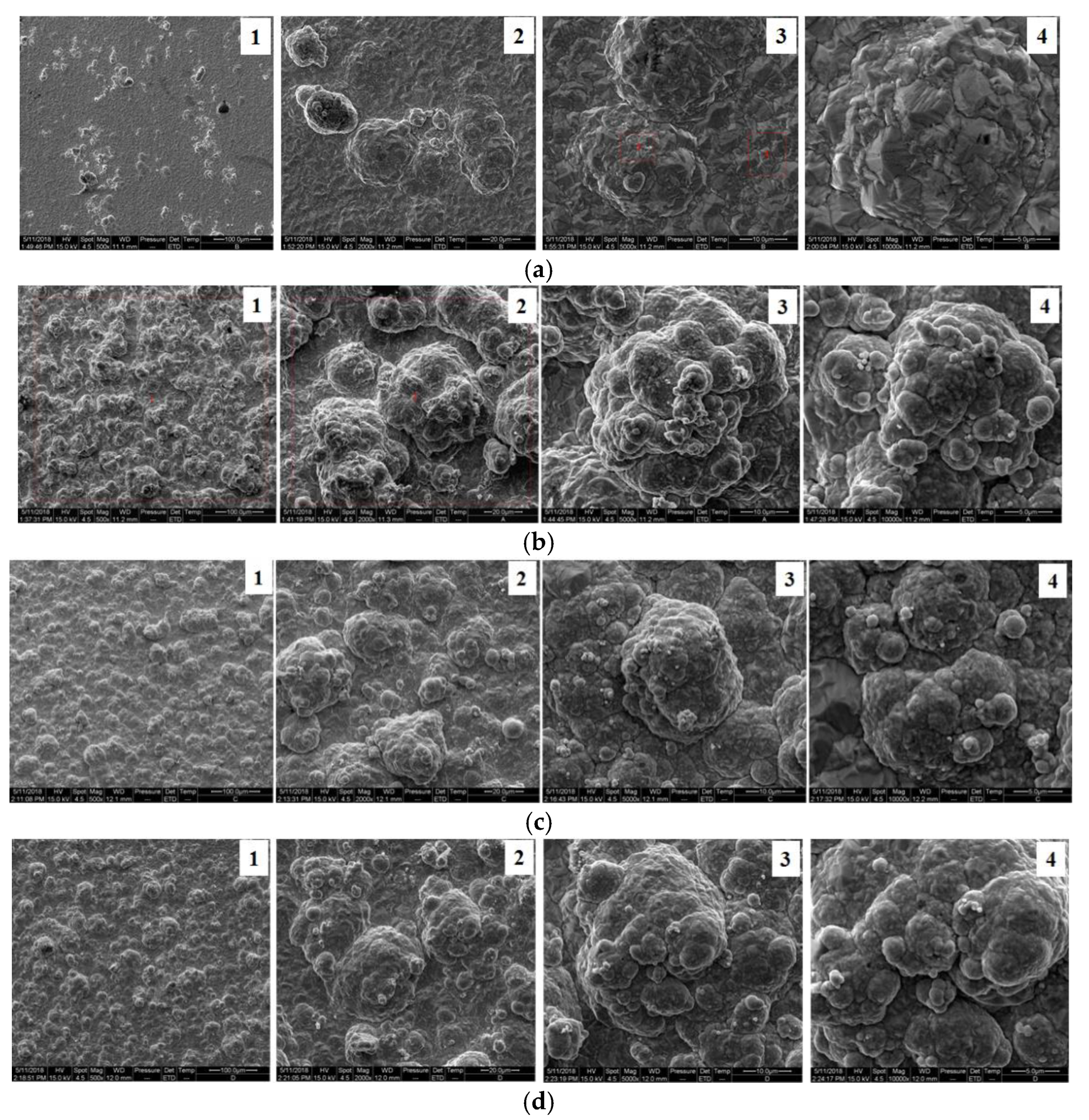 Coatings 12 01558 g005