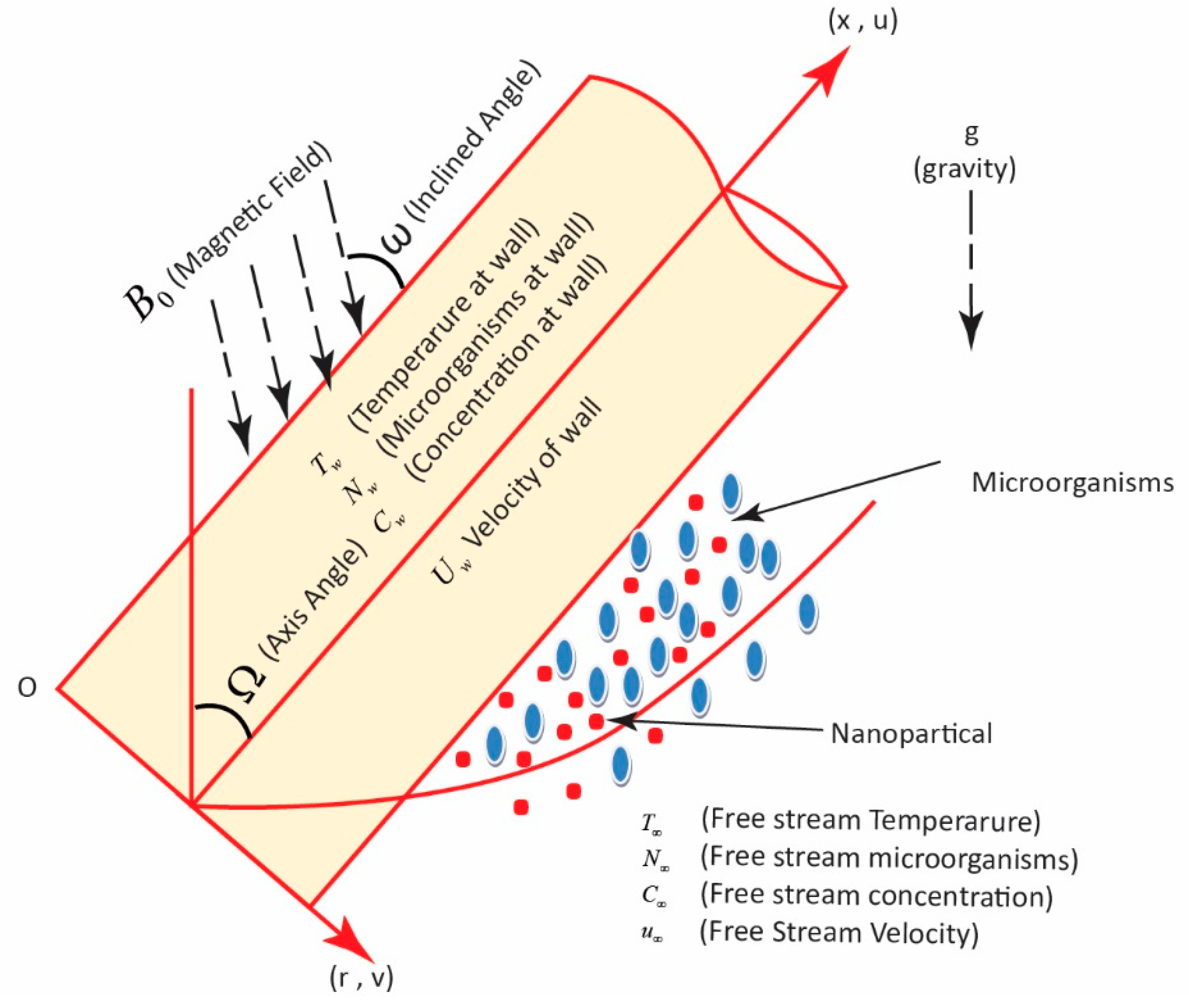 Coatings 12 01560 g001