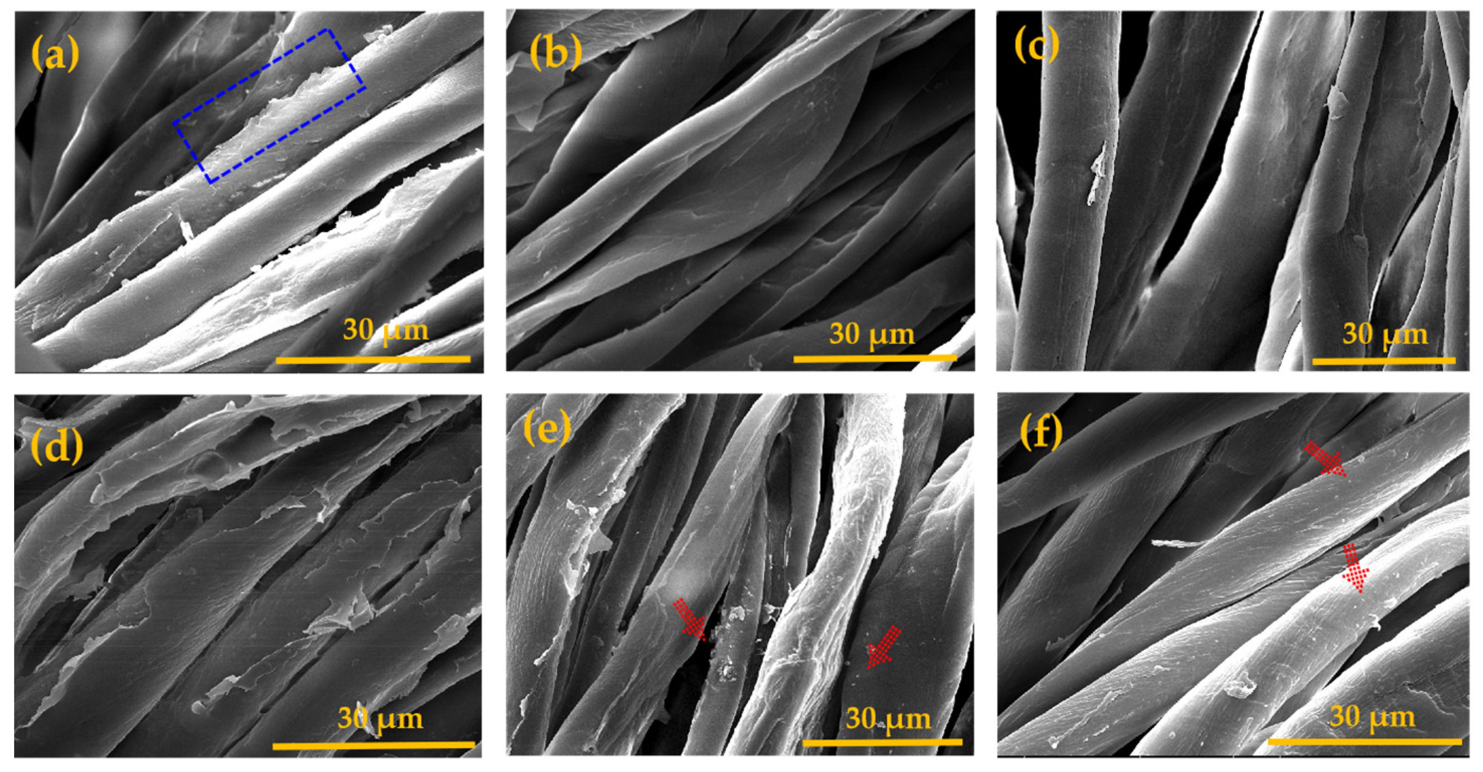 Coatings 12 01594 g006 Coatings 12 01594 g006