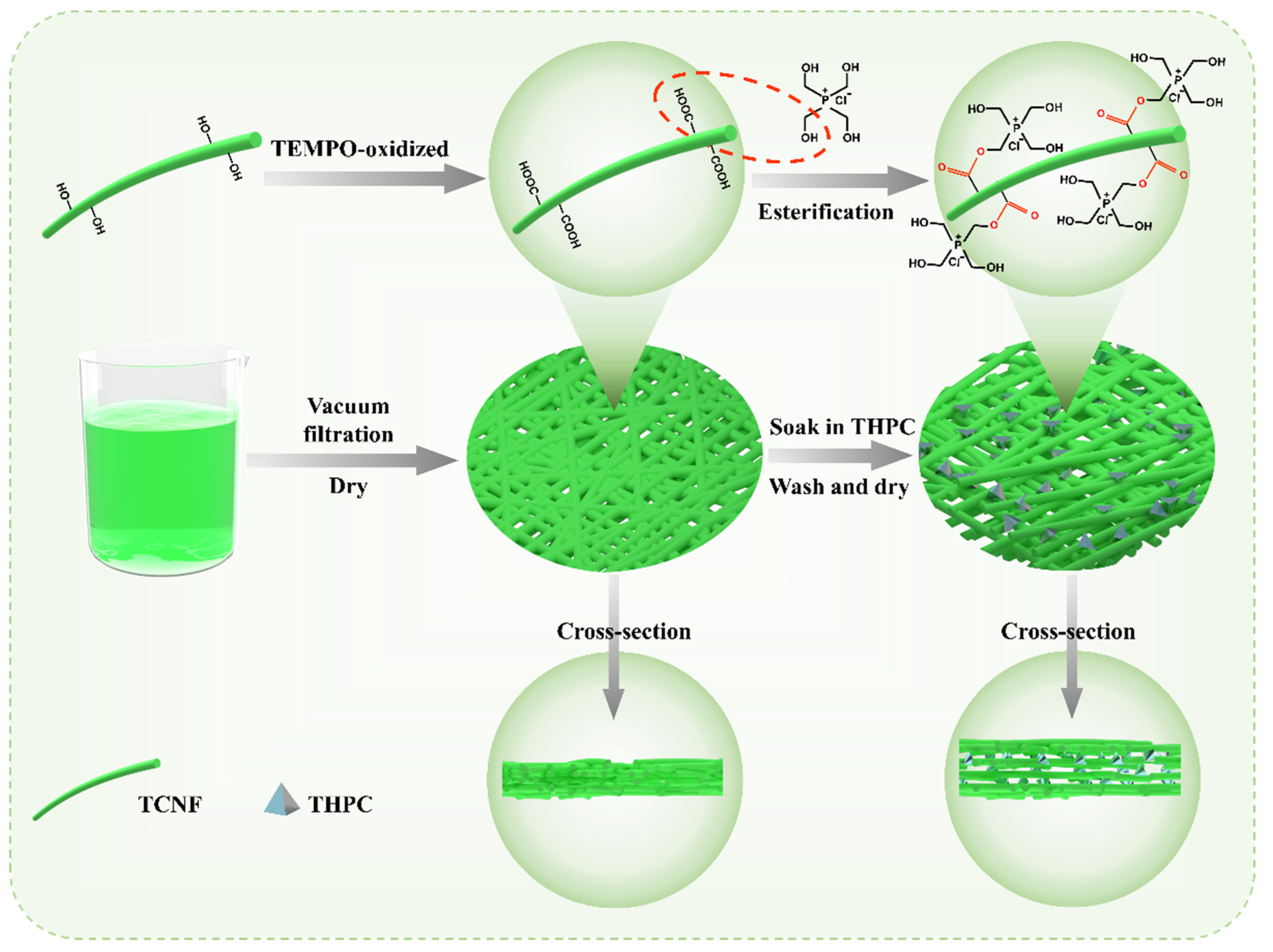 Coatings | Free Full-Text | Phosphonium Modified Nanocellulose 