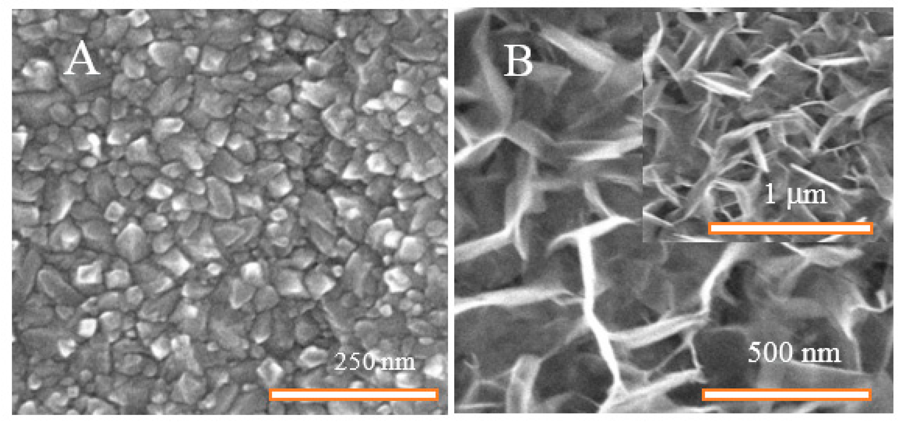 Coatings 12 01615 g001