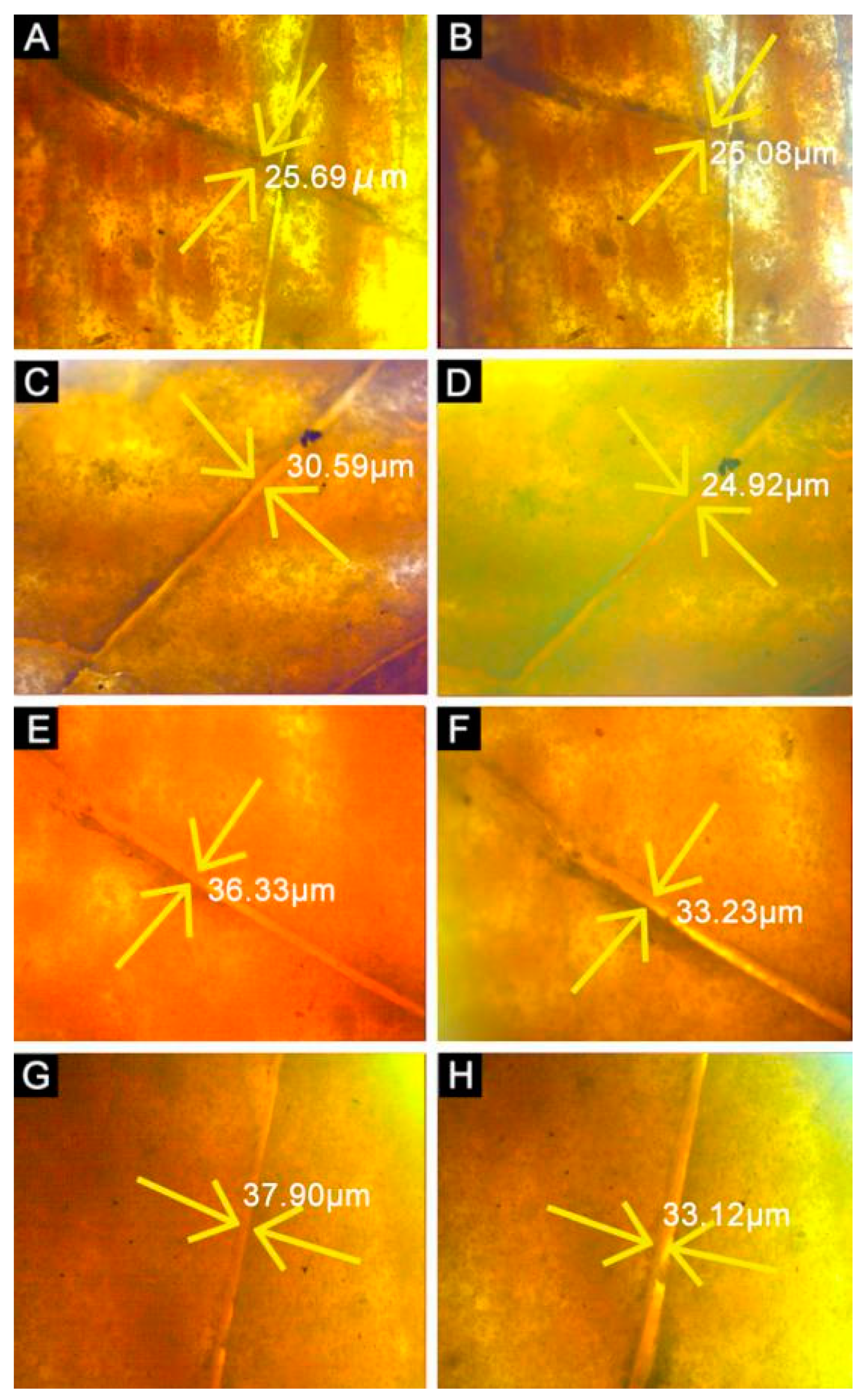 Coatings 12 01627 g002