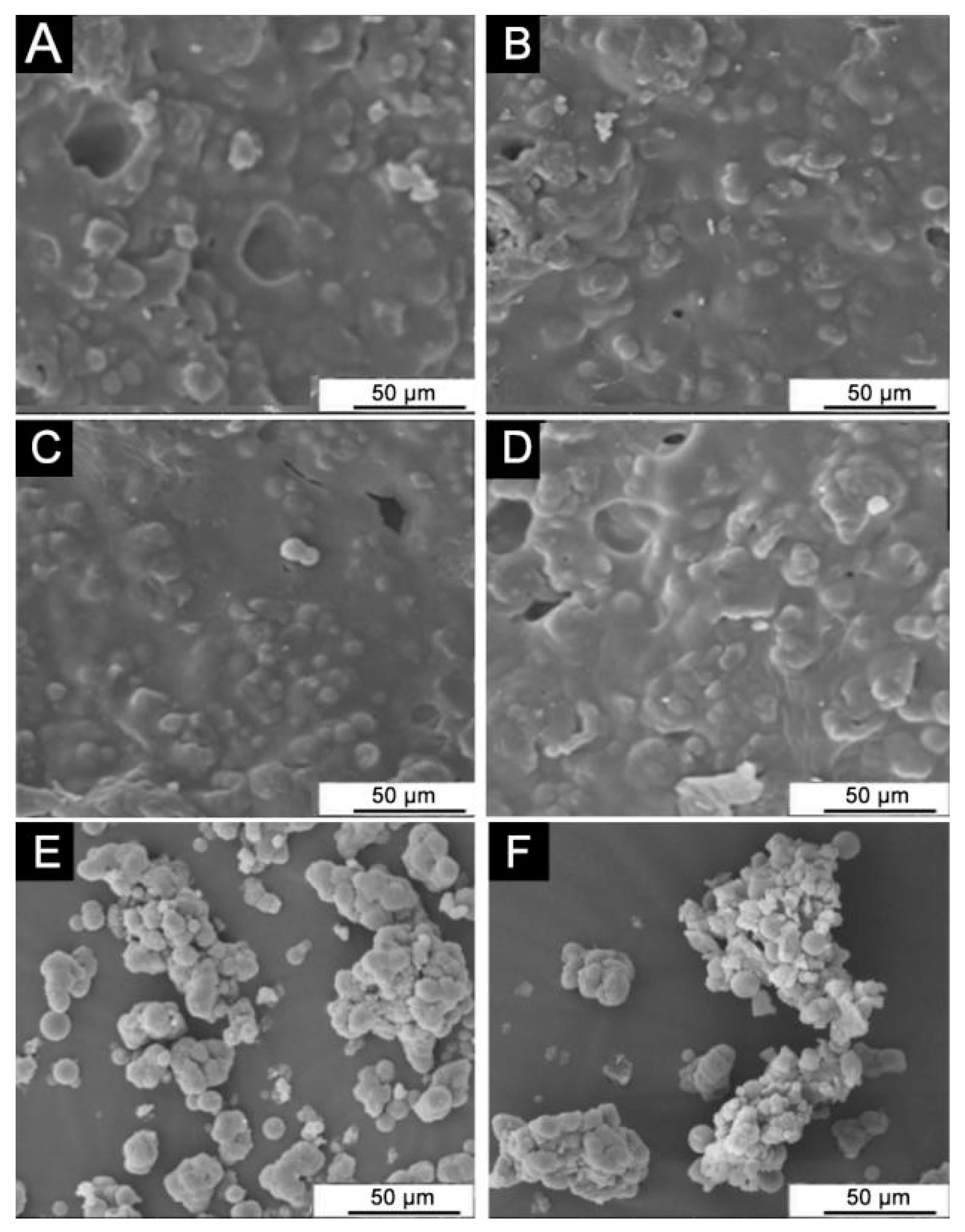Coatings 12 01627 g004