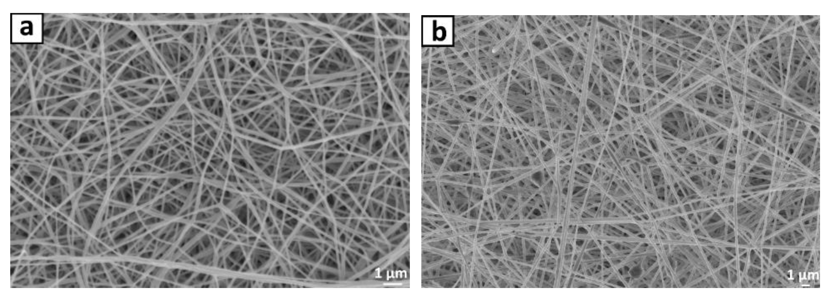 Coatings 12 01629 g005a