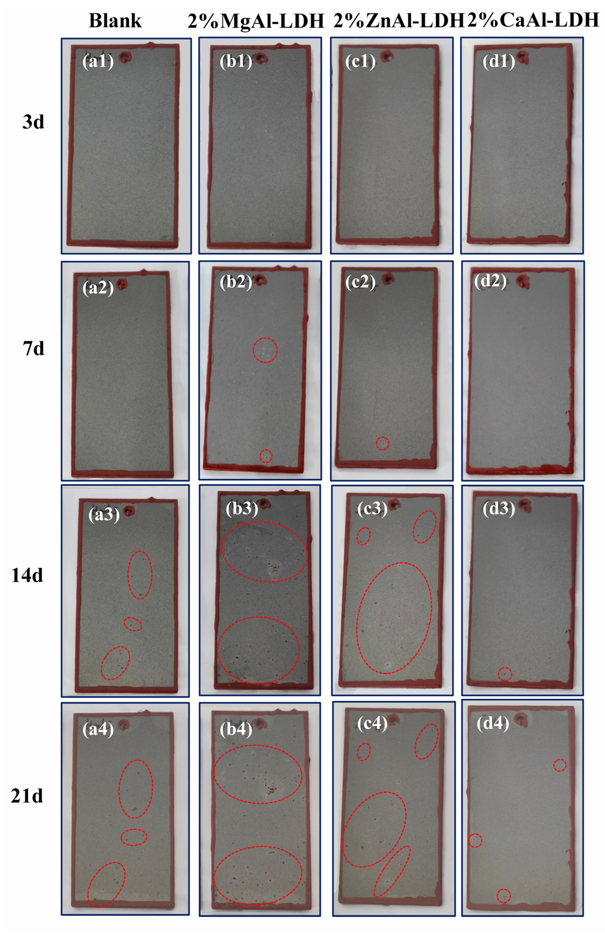 Coatings 12 01631 g019