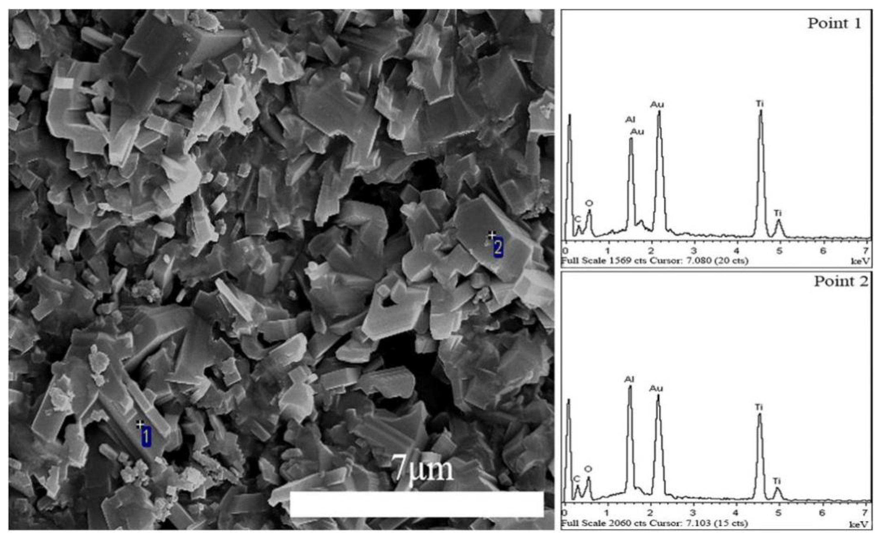 Coatings 12 01641 g005