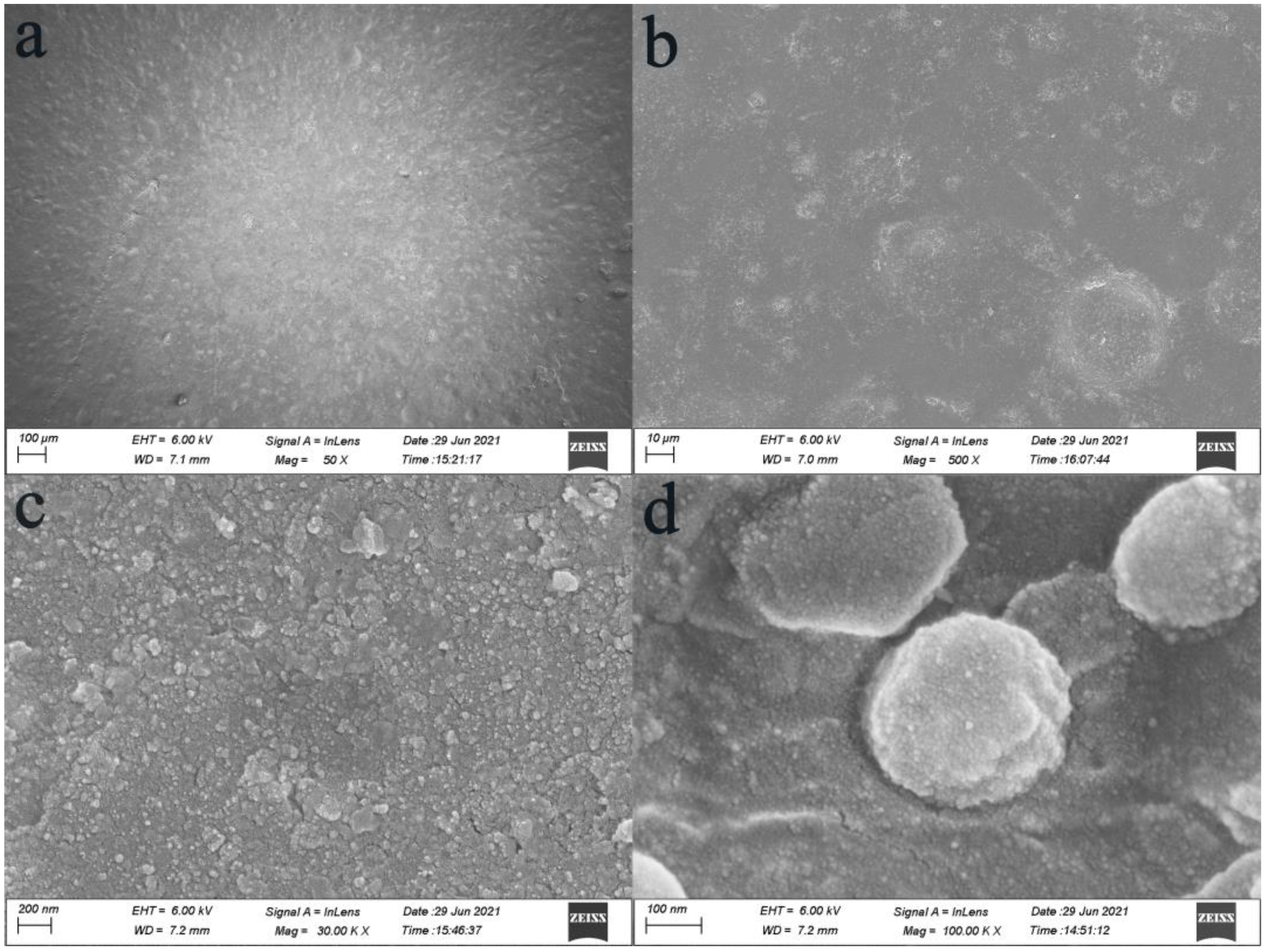 Coatings 12 01651 g002 Coatings 12 01651 g002