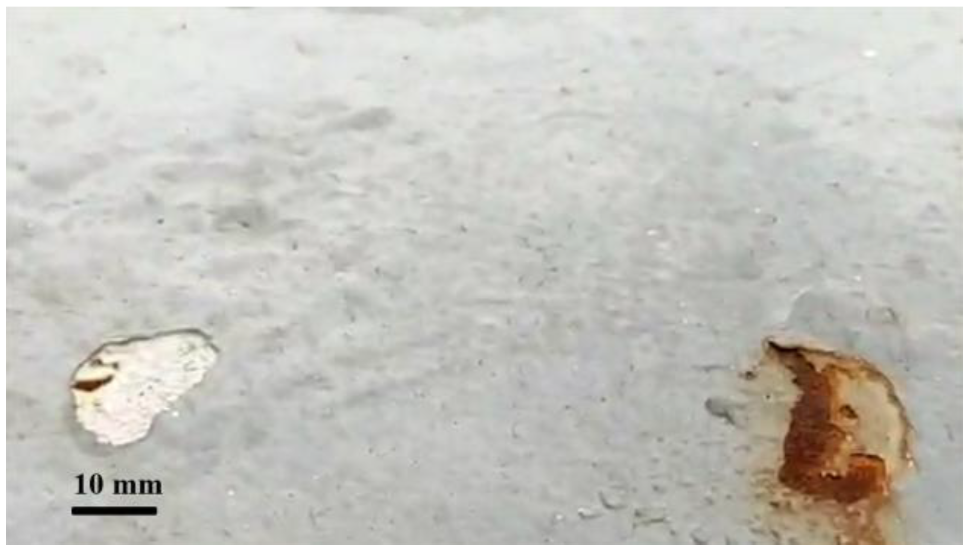 Coatings 12 01651 g010 Coatings 12 01651 g010